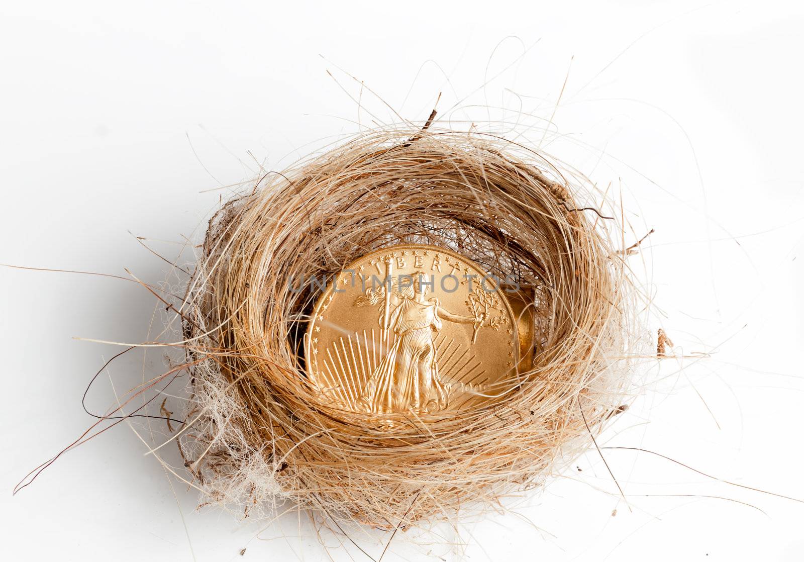 Nest egg of golden eagle coin in woven birds nest as concept of wealth