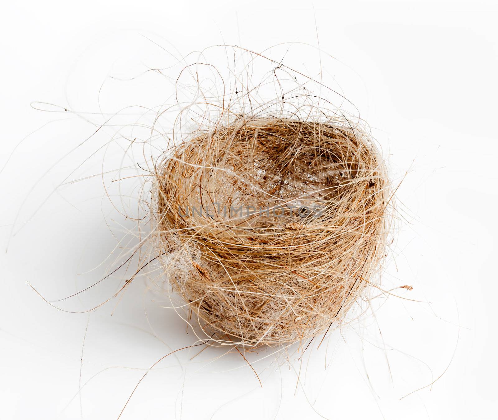 Birds nest made from woven grass hair and feathers isolated against white
