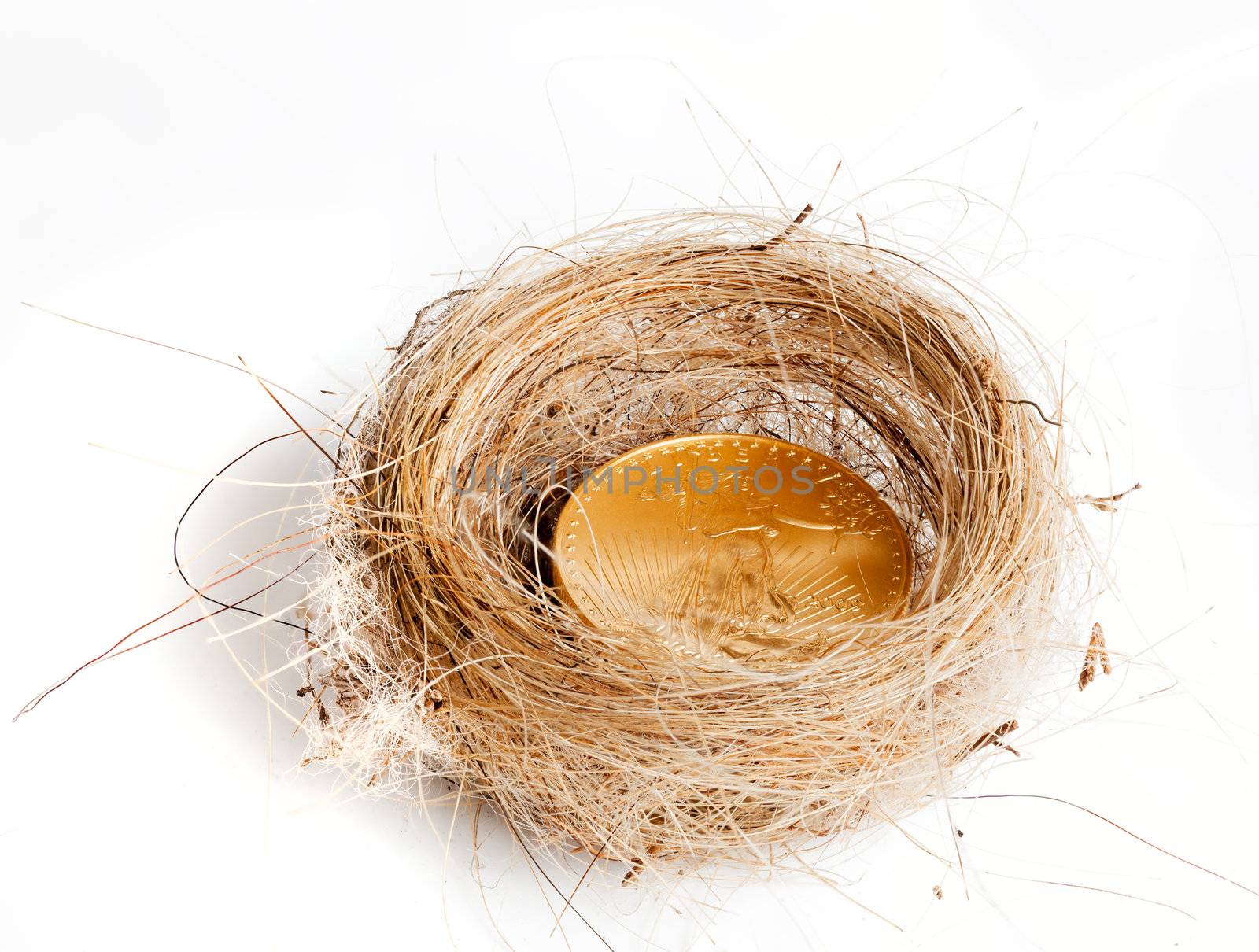 Nest egg of golden eagle coin in woven birds nest as concept of wealth