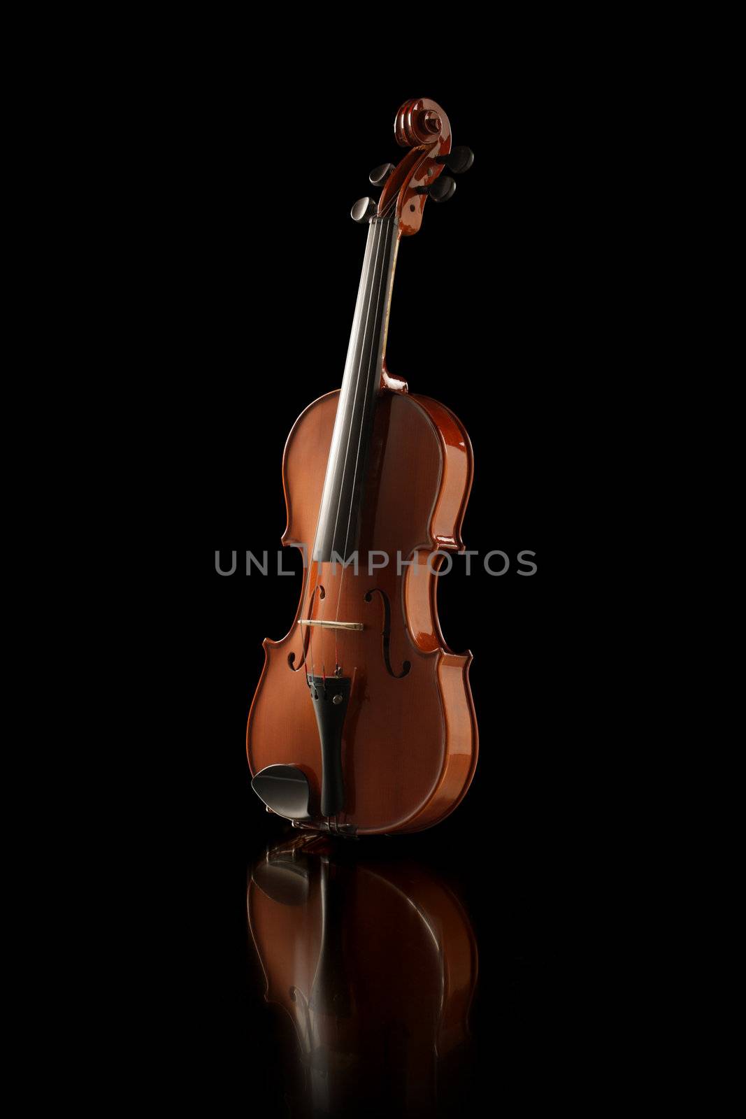 Elegant shot of a violin on black background