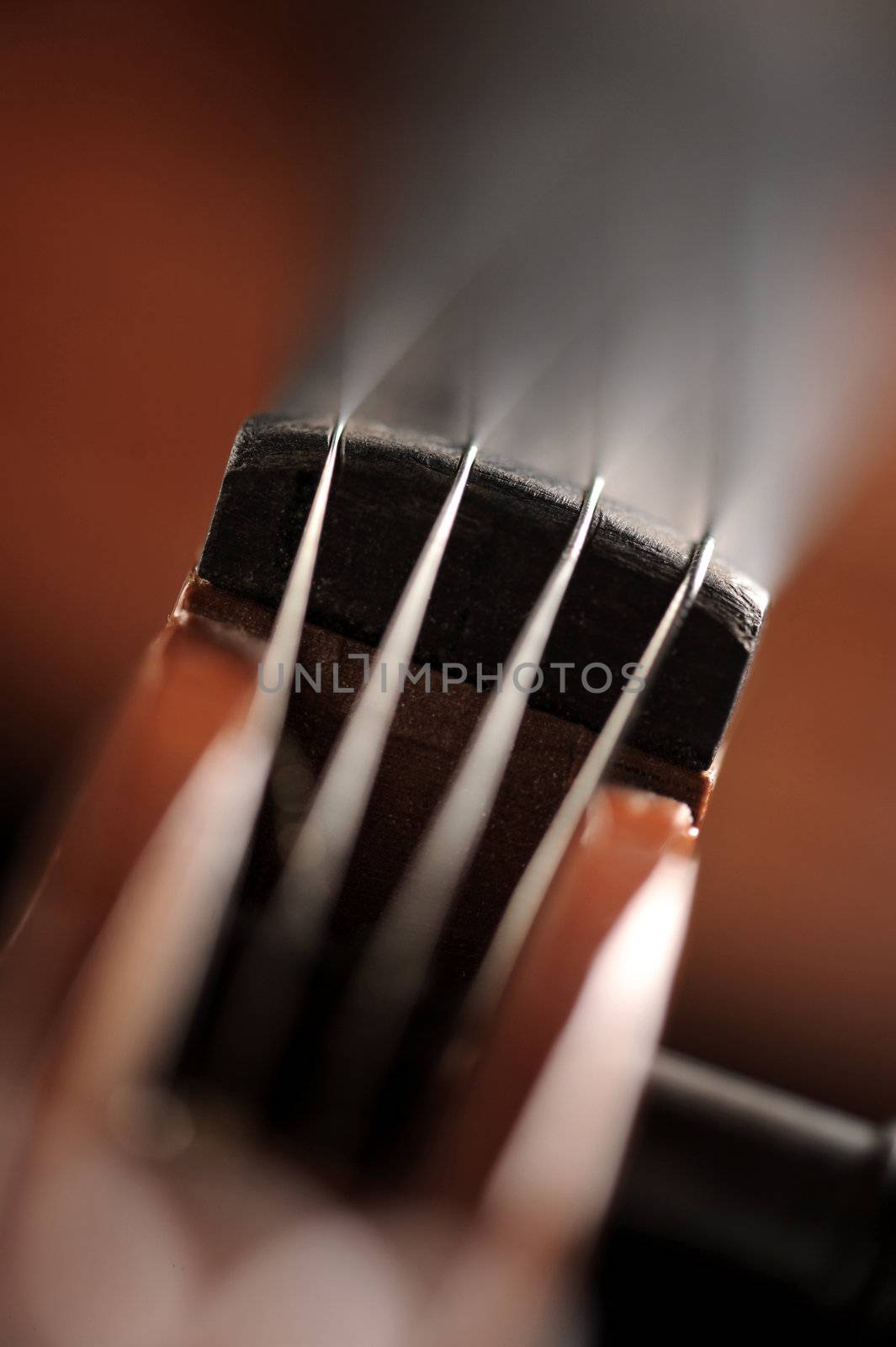 close up shot of a violin, shallow deep of field