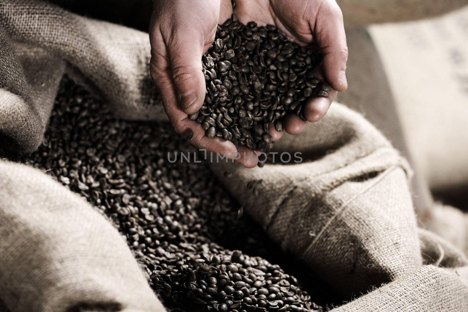 Handful of raw coffeebeans by stokkete