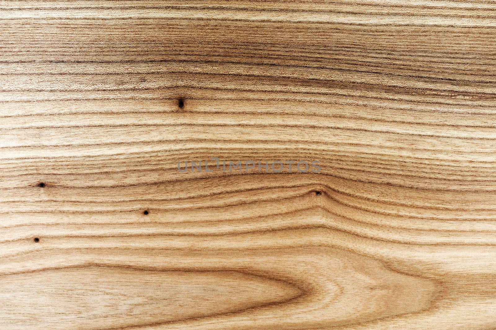 wood background by stokkete
