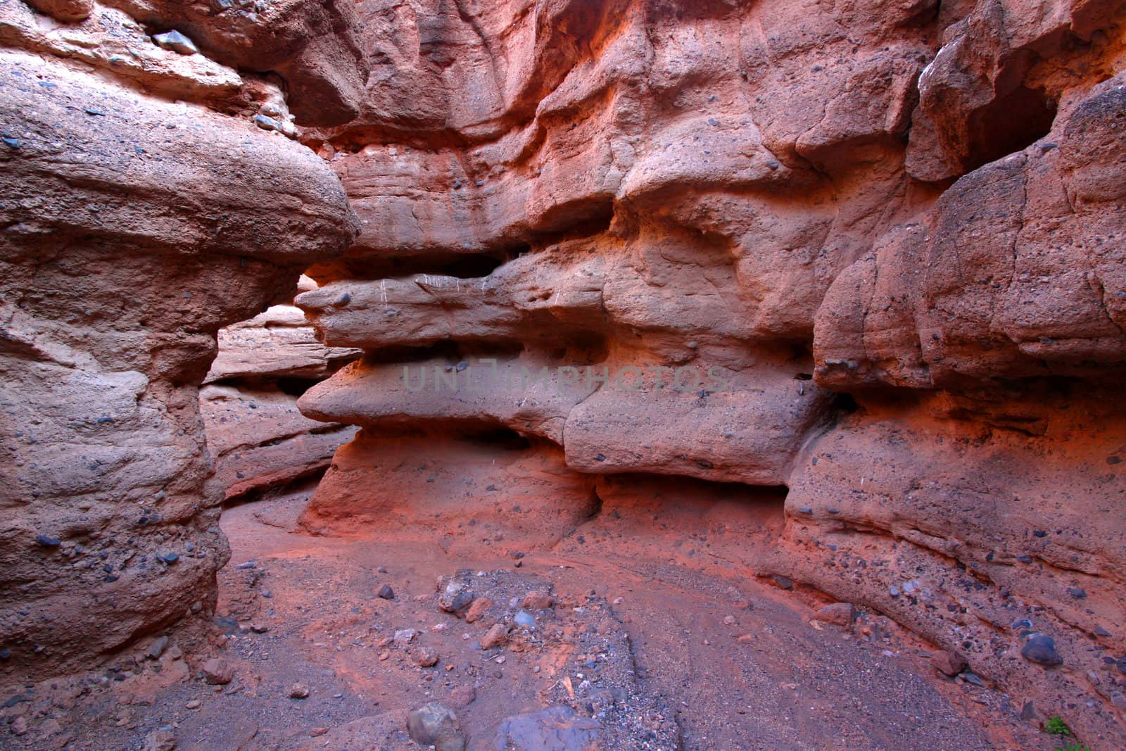 Narrow bends of White Owl Canyon in the Lake Mead National Recreation Area of Nevada.