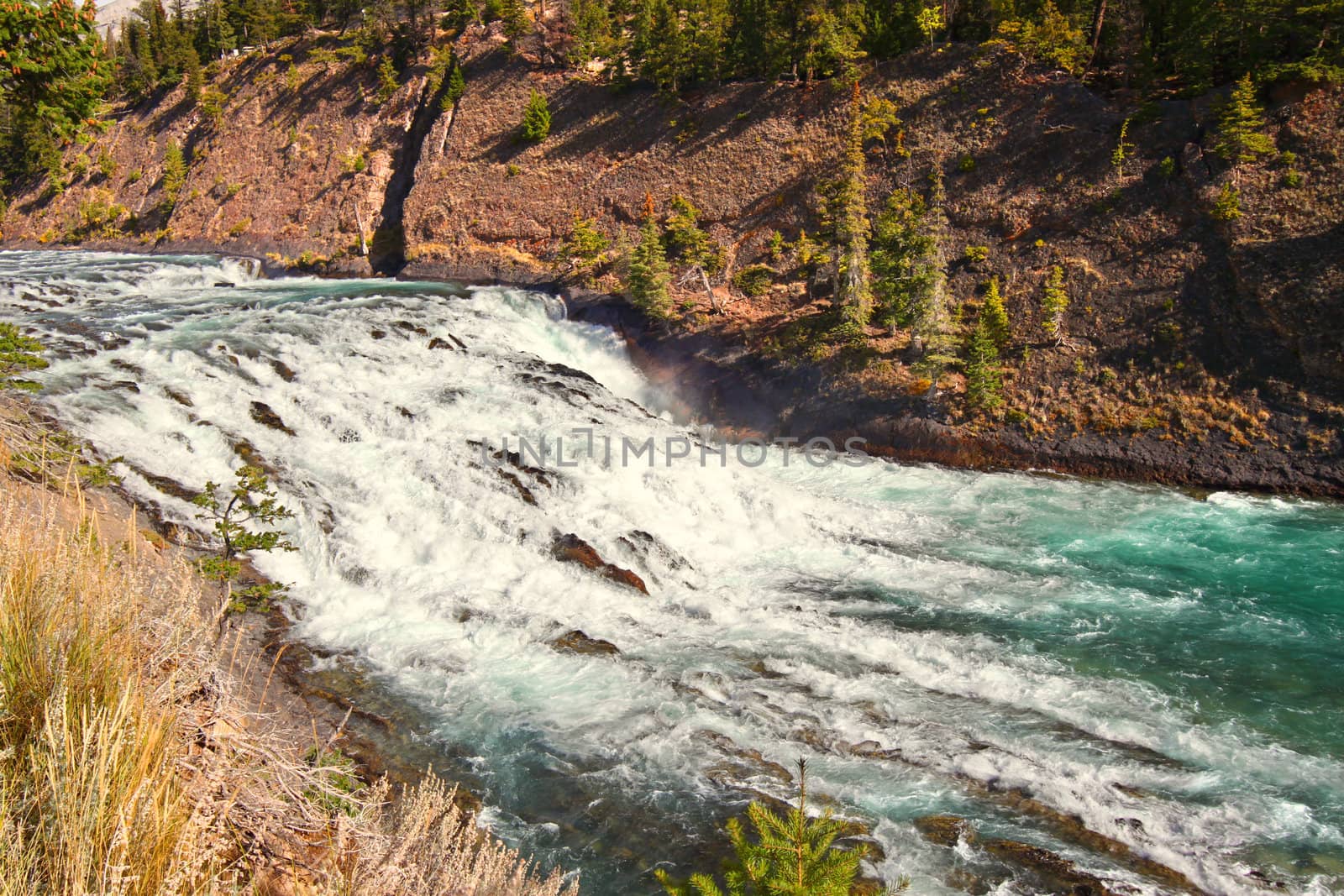 View of Bow Falls flowng through the woodlands of Canada near Banff, Alberta.
