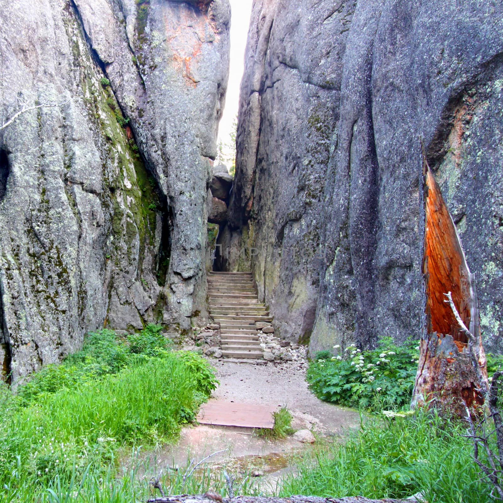 Hiking trail narrowly passes through large rocks in Custer State Park.