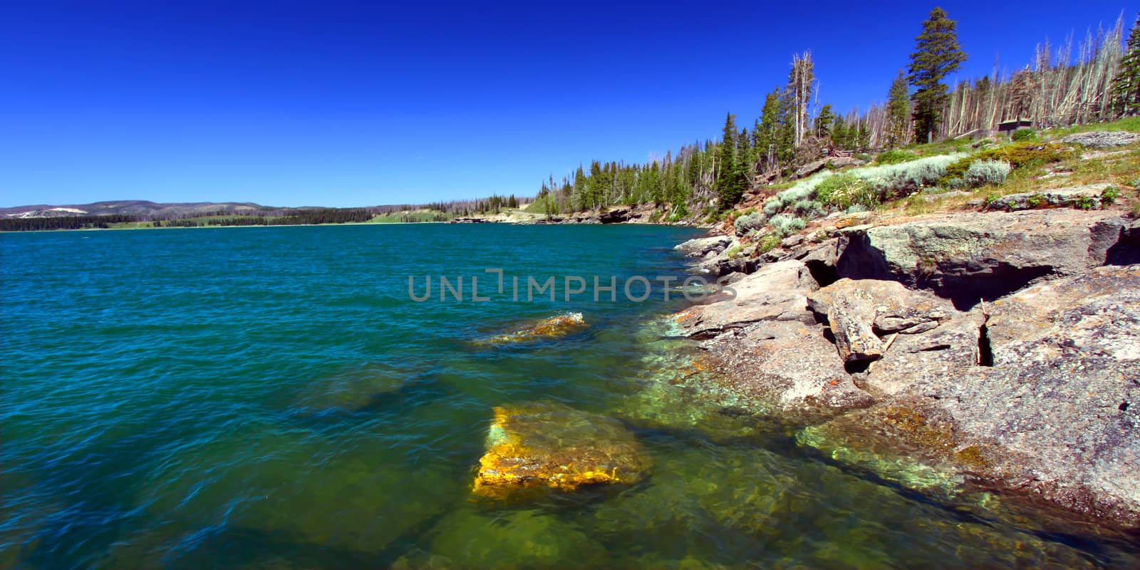 Cold blue waters of Yellowstone Lake on a sunny day in Yellowstone National Park.