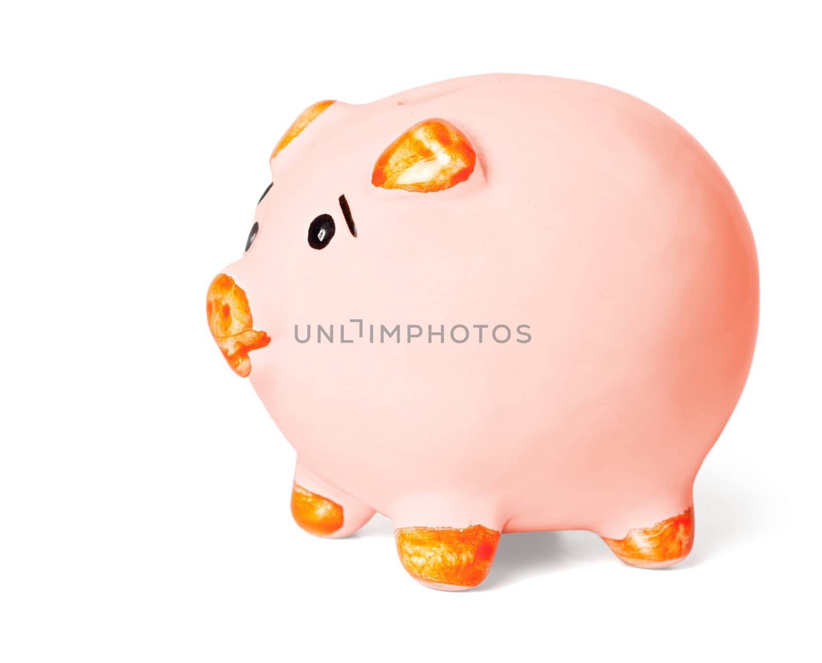 Piggy bank  isolated by dimol