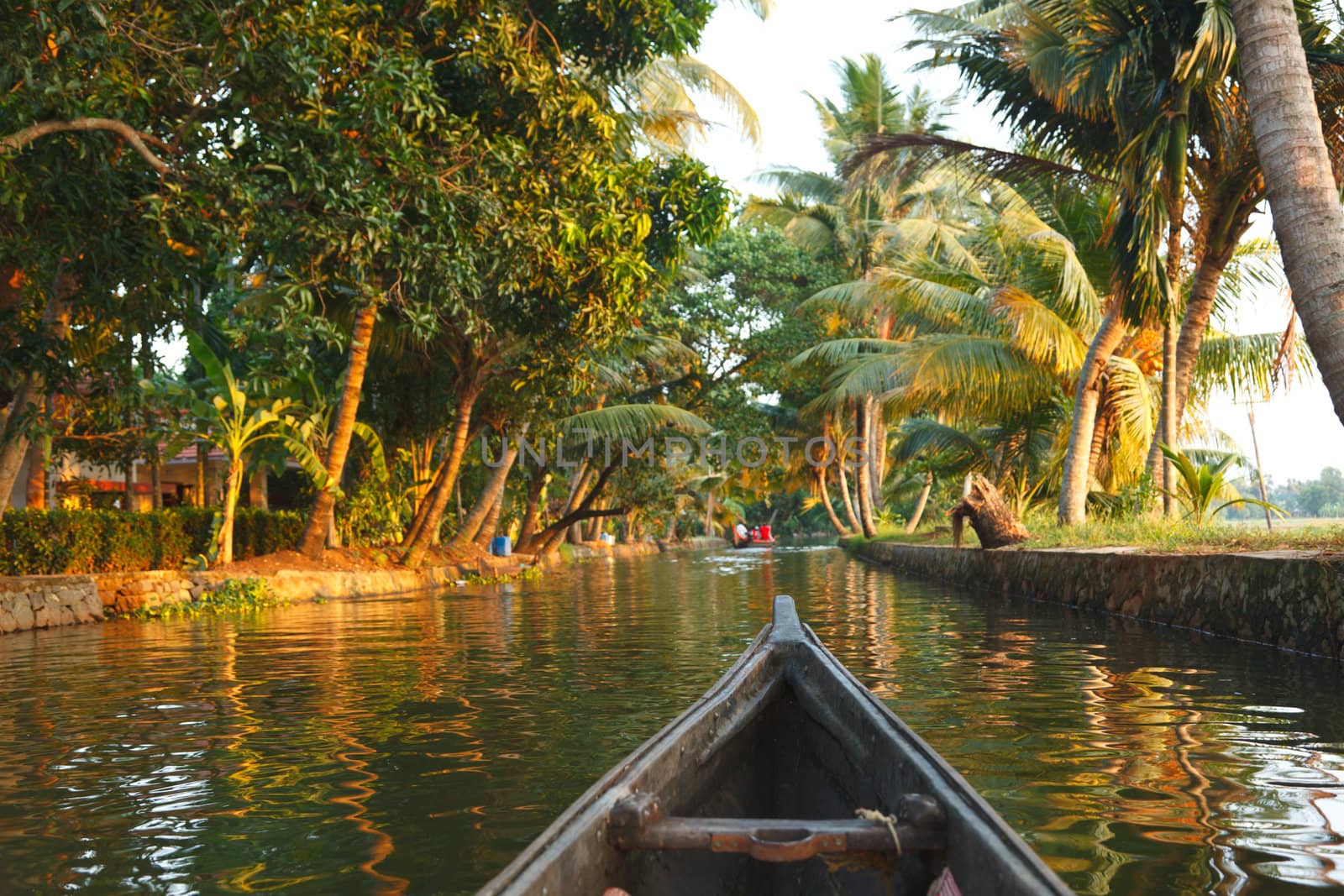 Travelling in canoe on Kerala backwaters. Kerala, India