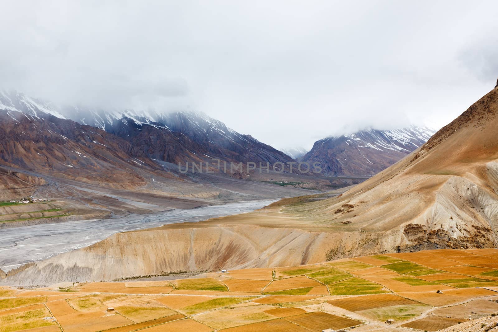 Fields in Spiti Valley by dimol