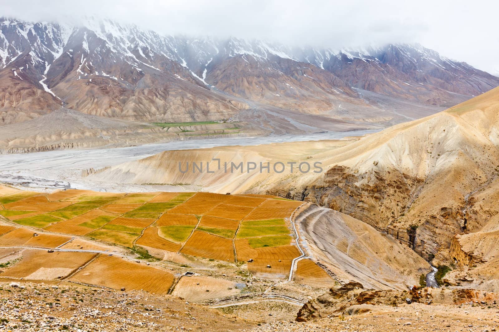 Fields in Spiti Valley by dimol