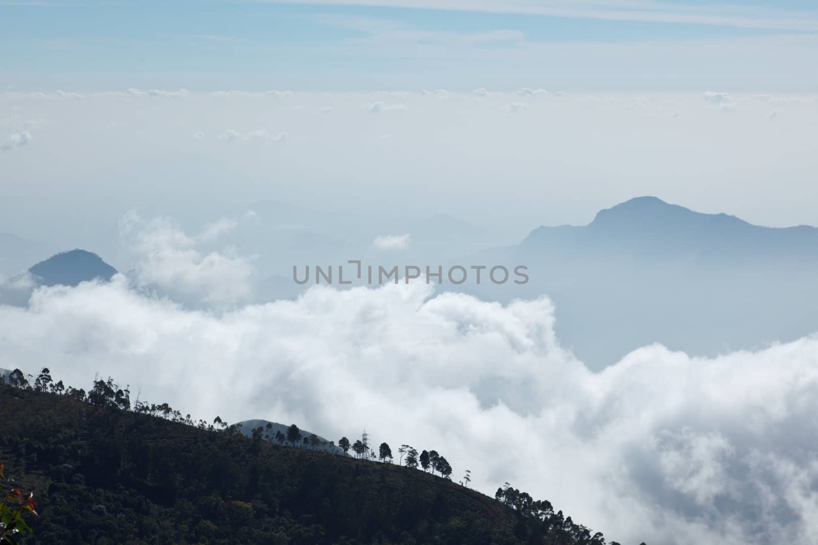 Mountains in clouds. Kodaikanal, Tamil Nadu by dimol