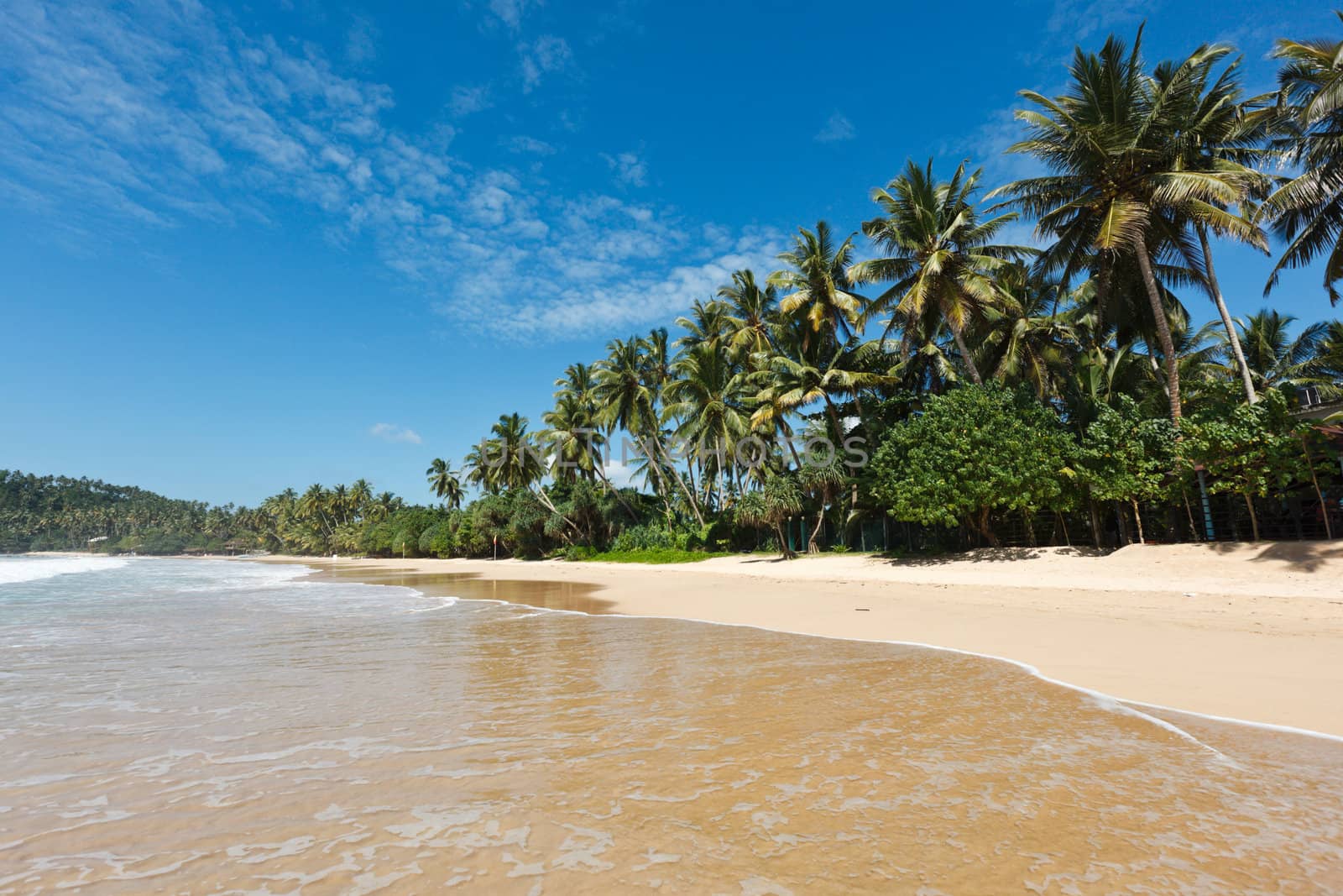 Idyllic beach. Sri Lanka by dimol