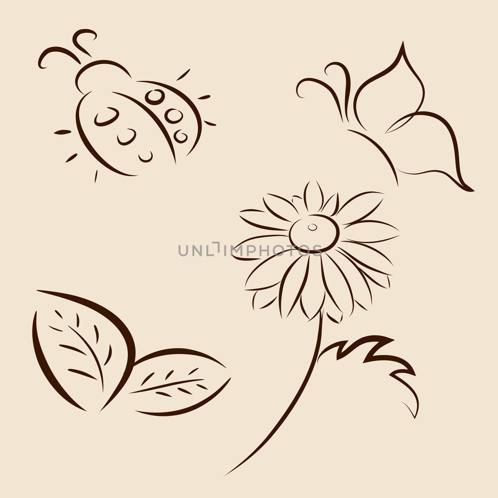 Hand drawn vector illustration of leafs, ladybird, butterfly and chamomile