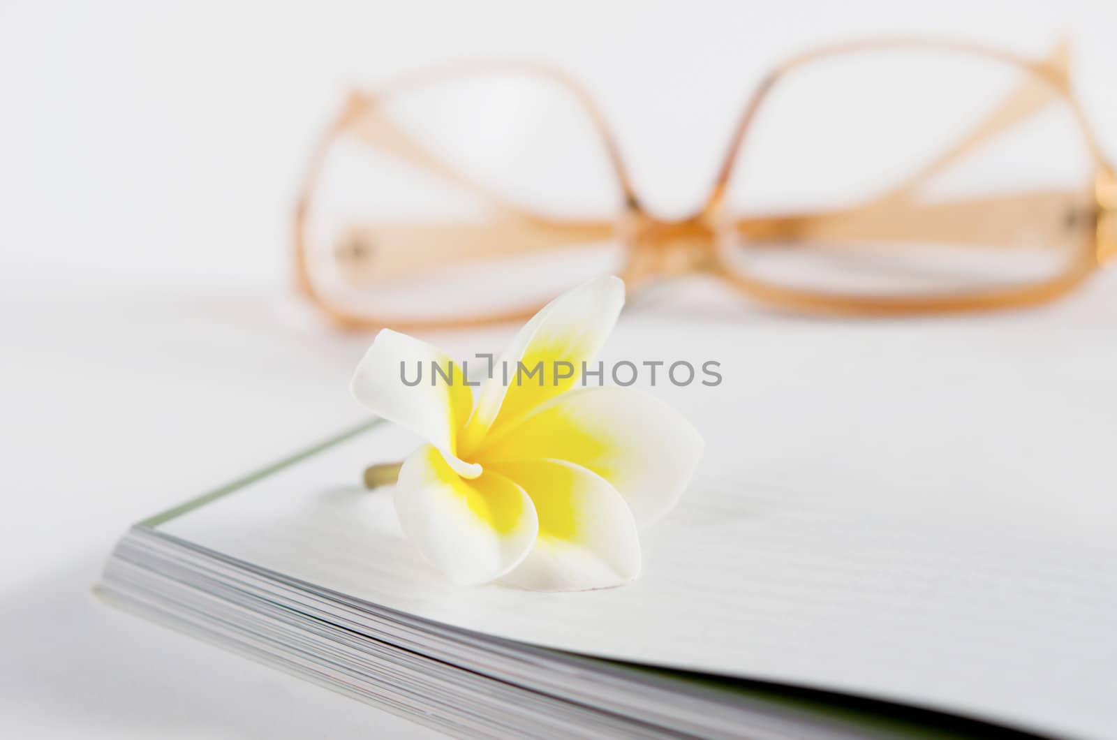 fresh  frangipani flowers over book , relax time