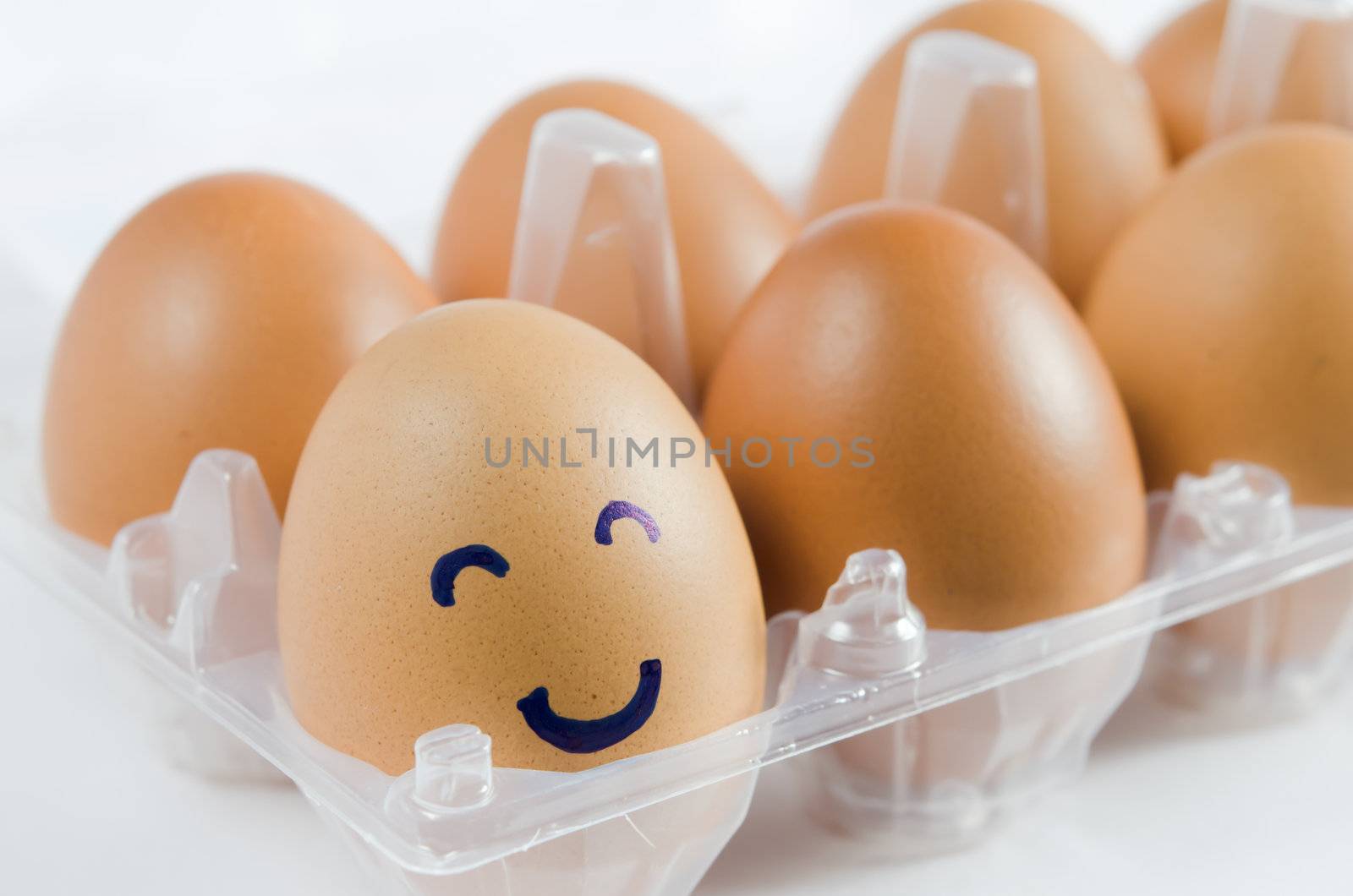 brown eggs with happy face and friends .