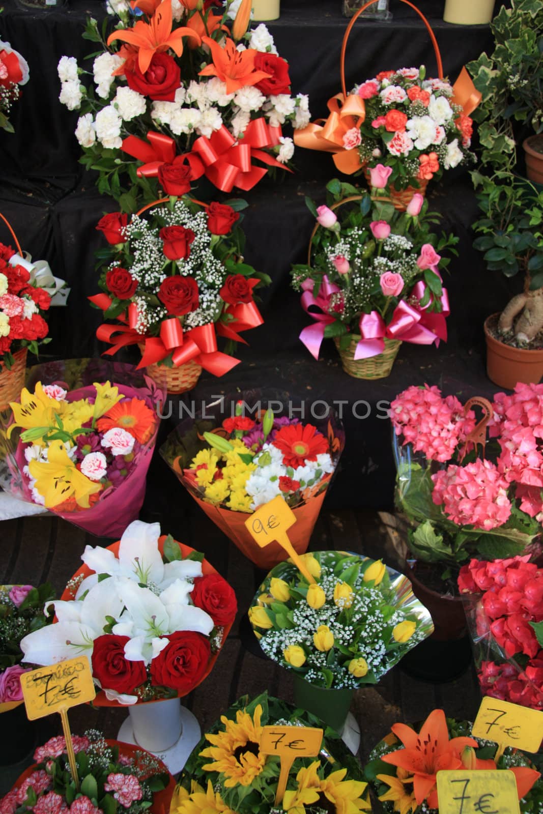 Colorful floral bouquets at a market in Barcelona