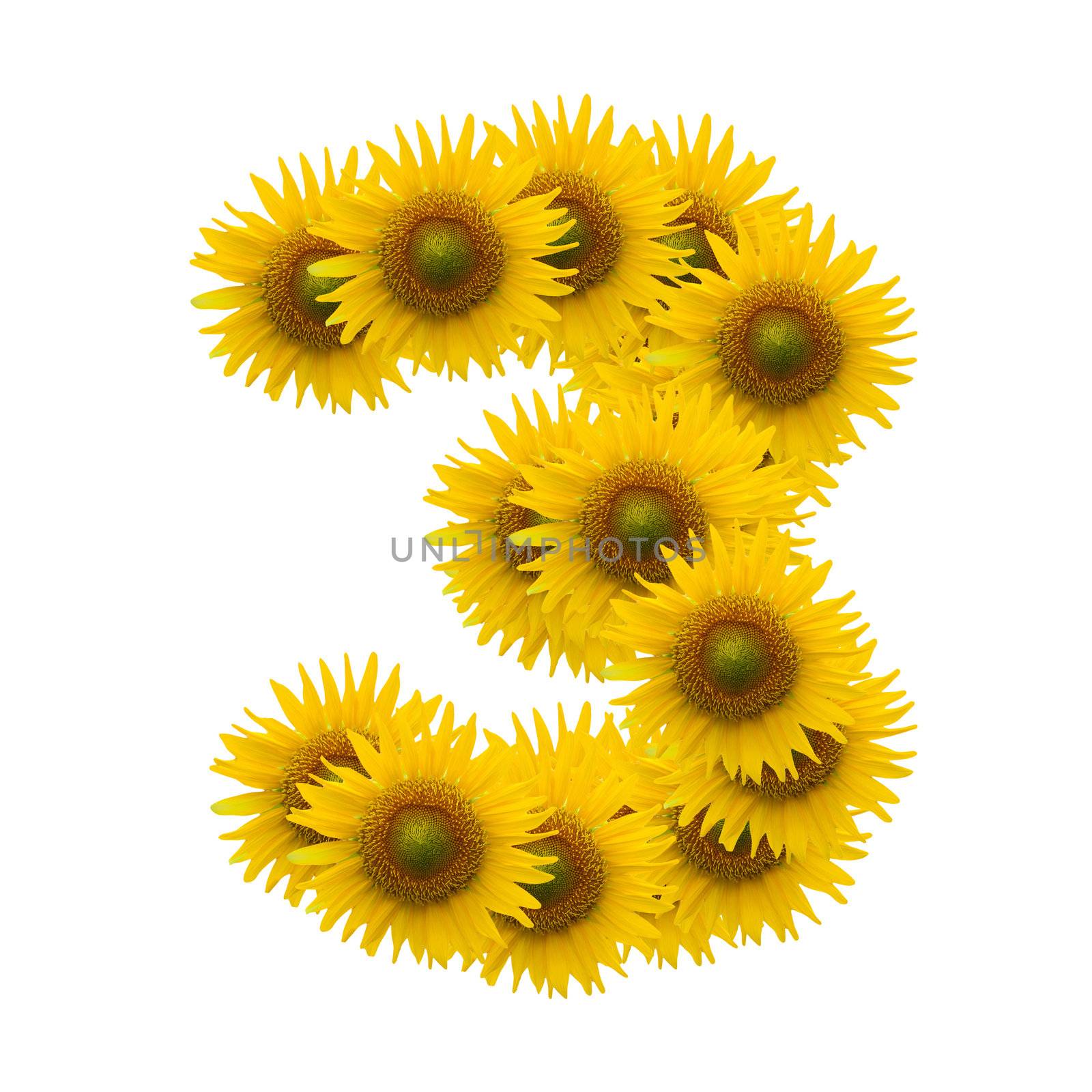 3, Sun flower alphabet isolated on white by jakgree