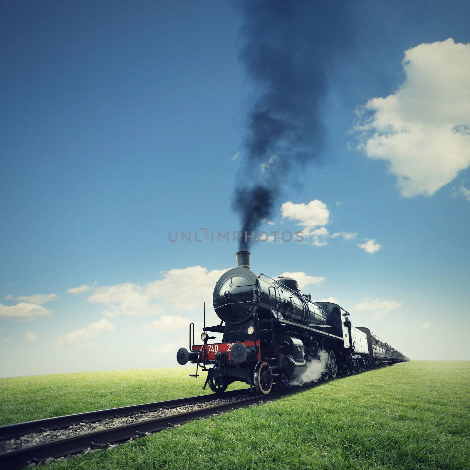 steam engine train crosses a green lawn
