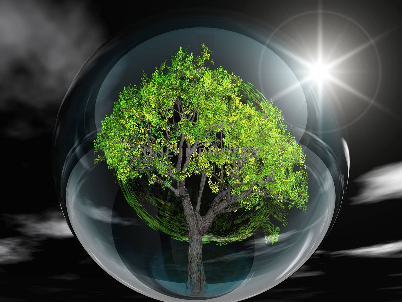 green tree in a transparent bubble