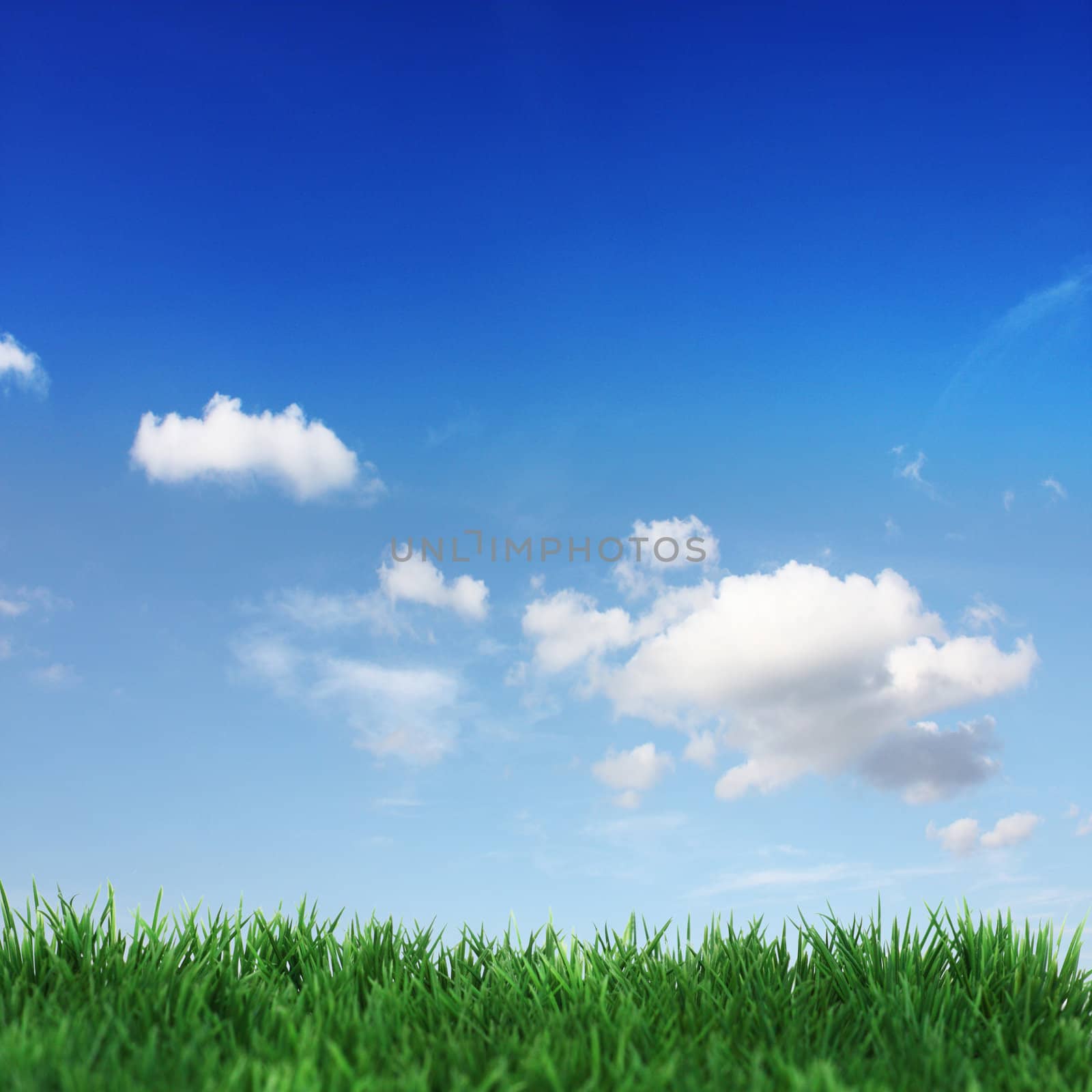 Green field and blue sky with white clouds 