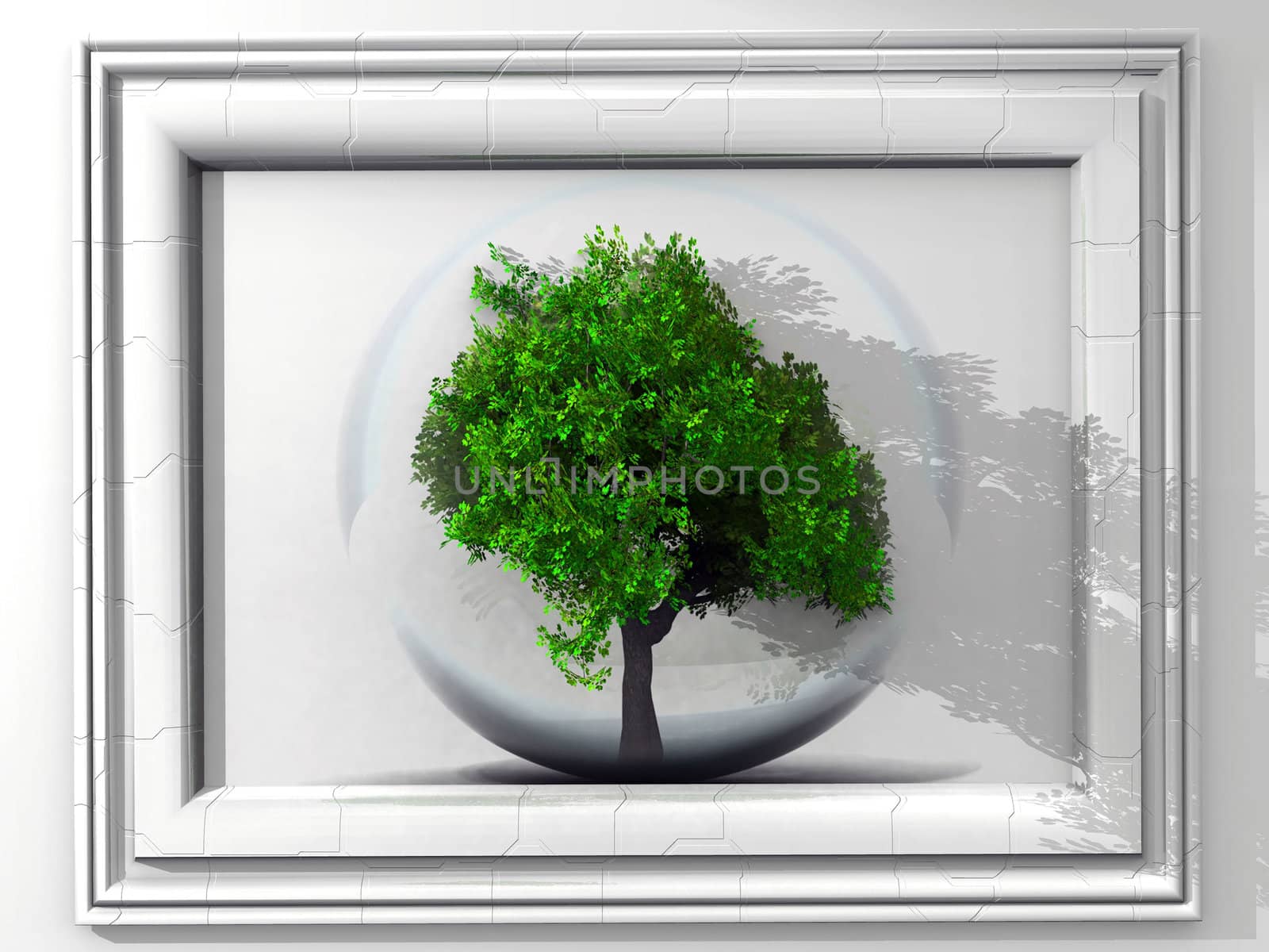 tree and frame