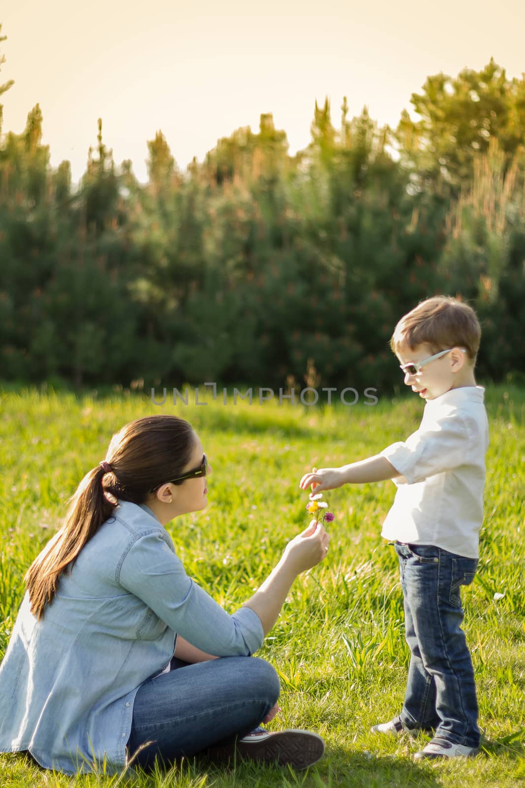 Son giving a bouquet of flowers to his pregnant mother in a fiel by doble.d