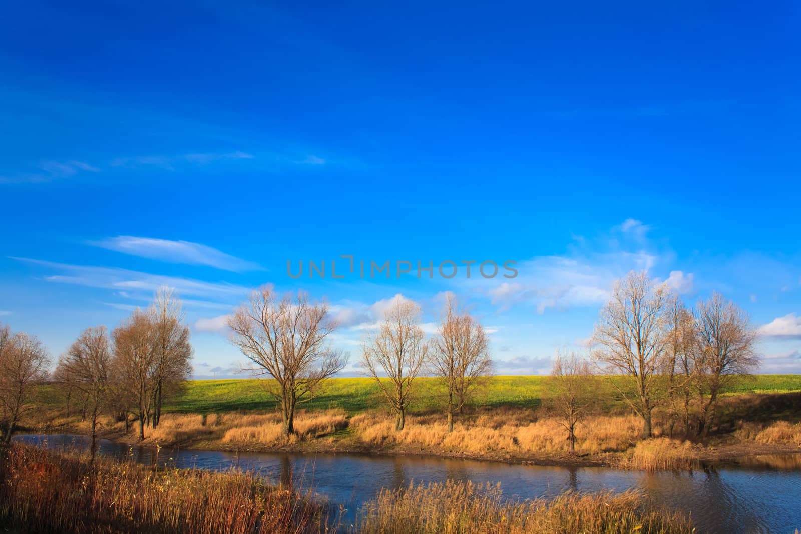 Autumn landscape of river and trees and bushes