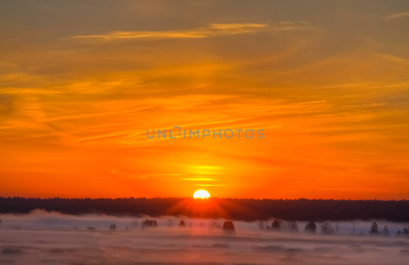 Beautiful Lake On Sunrise by ryhor