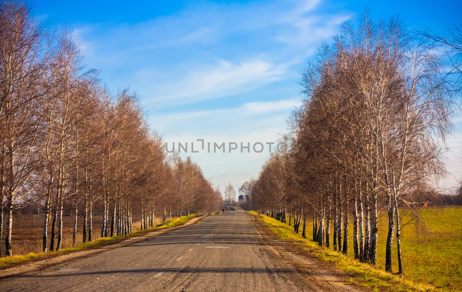 Dirty Rural Road In Countryside