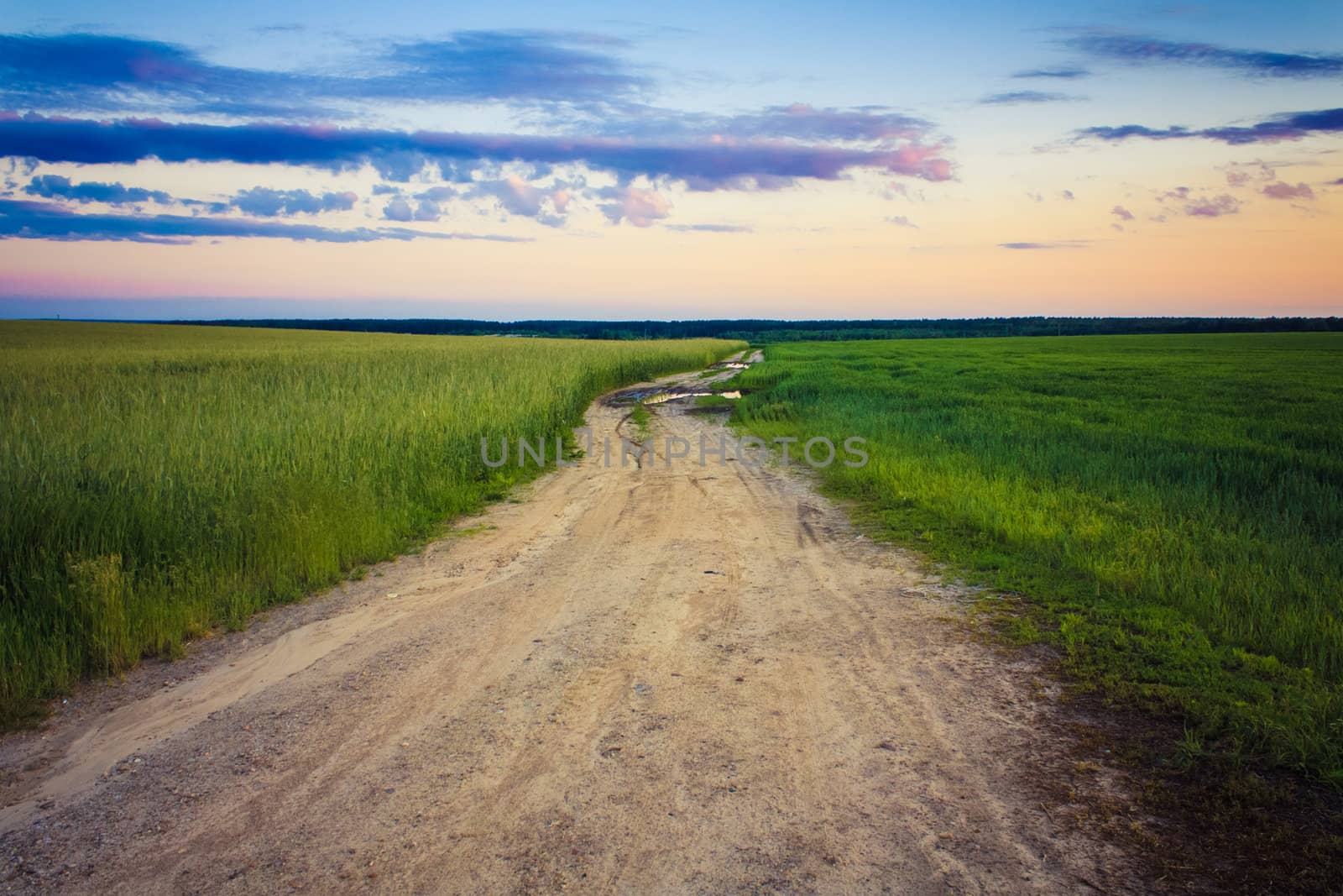 Dirty Rural Road In Countryside.