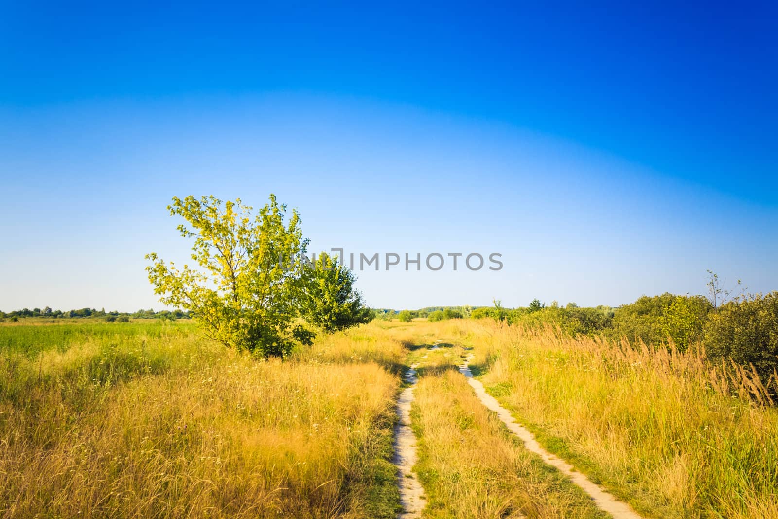 Dusty Road by ryhor