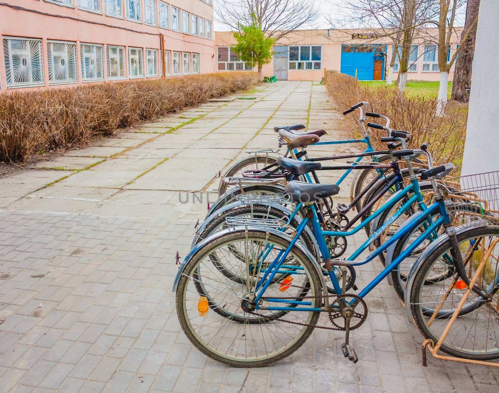 Five Old Bikes Leaning On The Street by ryhor