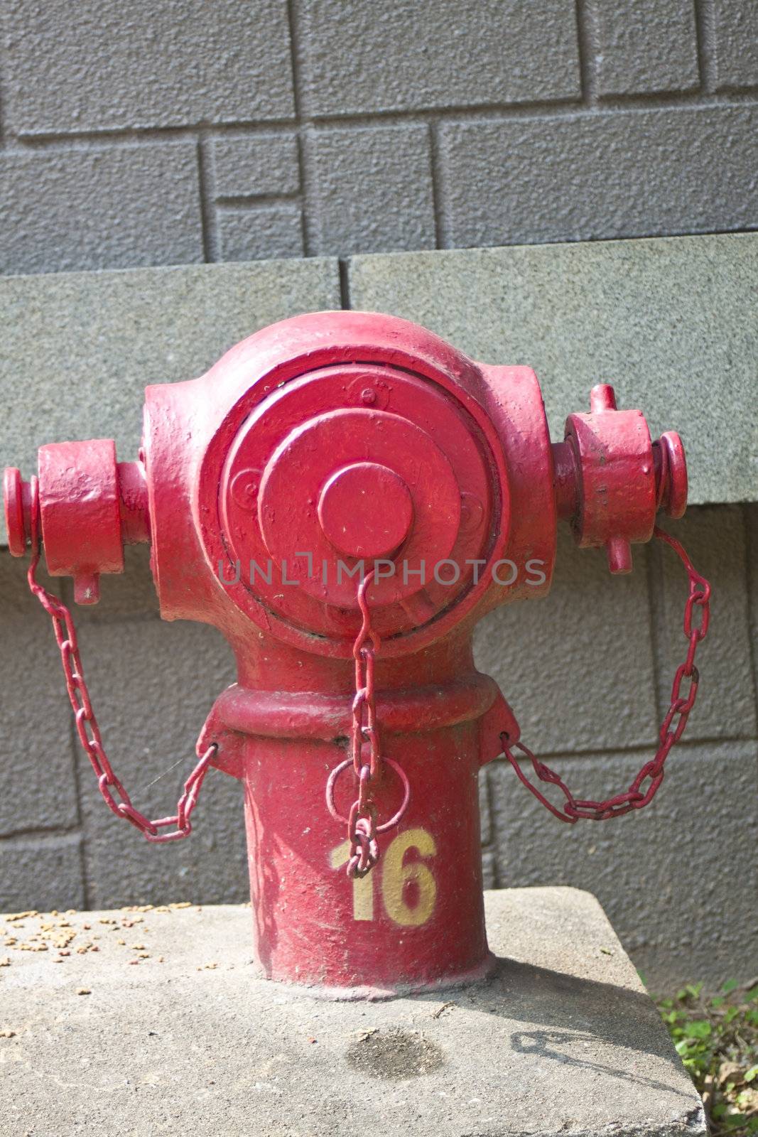 A fire hydrant