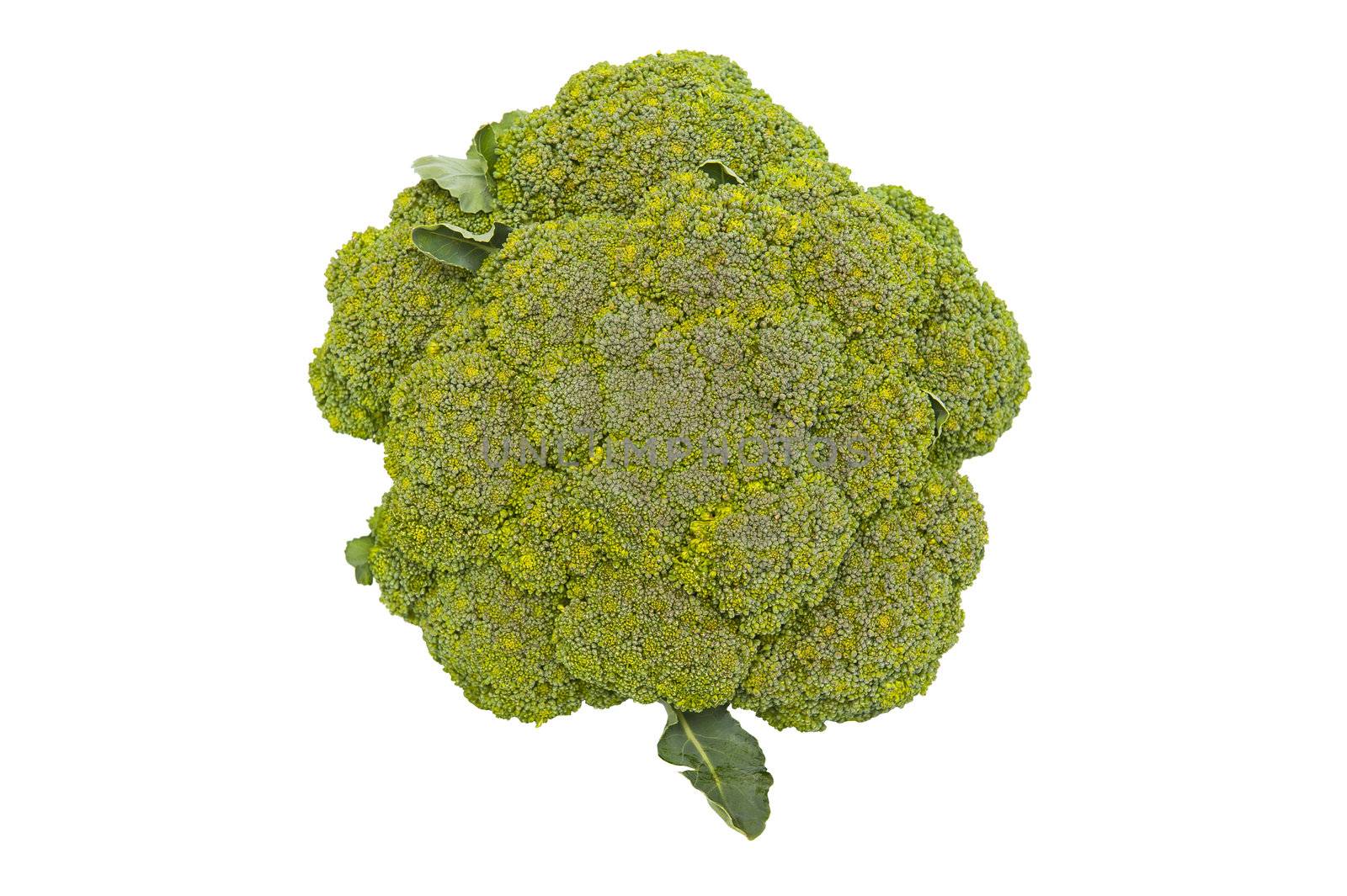 Broccoli isolated on the white background