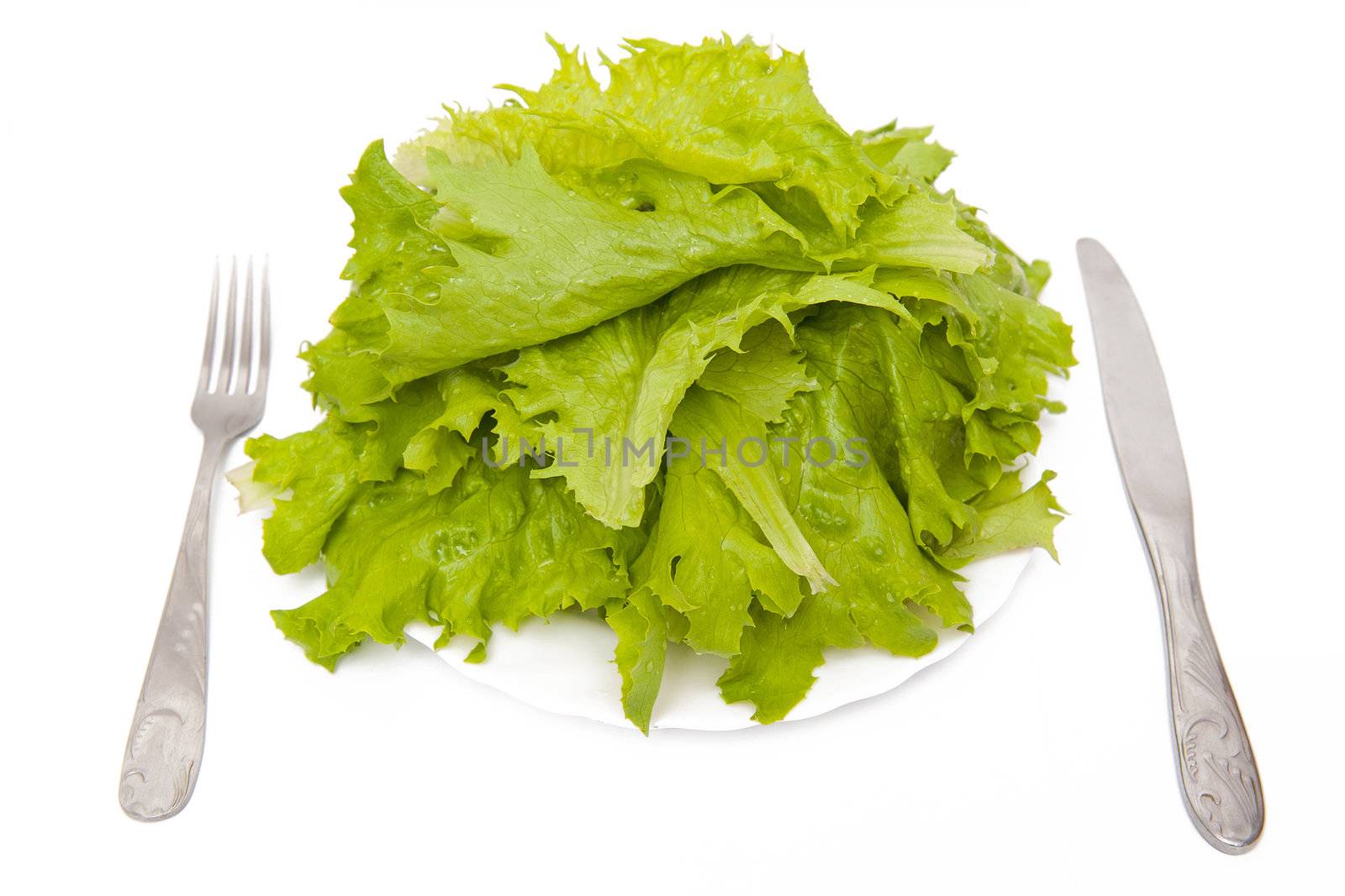 Fresh lettuce on the white plate