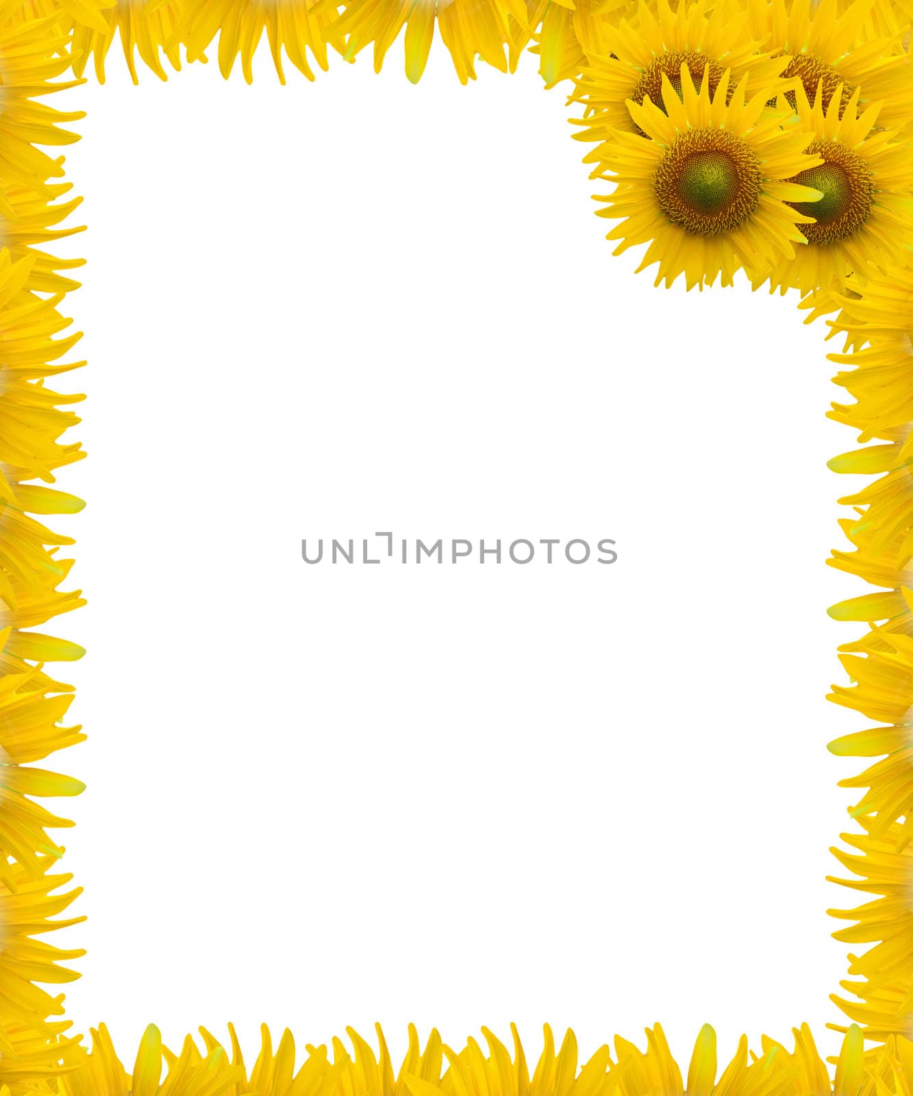 background for 2012 calendar with Sunflower frame design