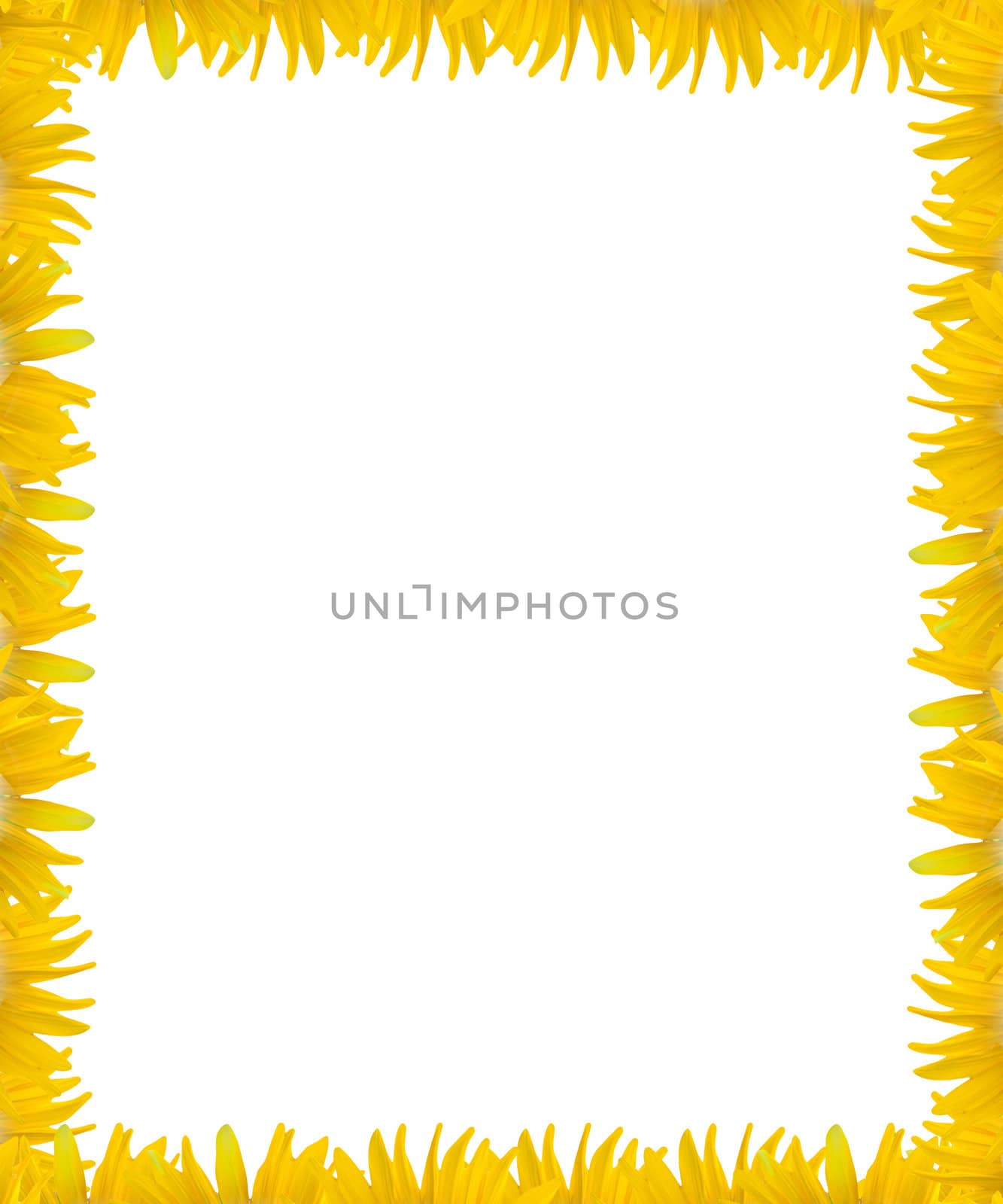 yellow flower frame with white space background