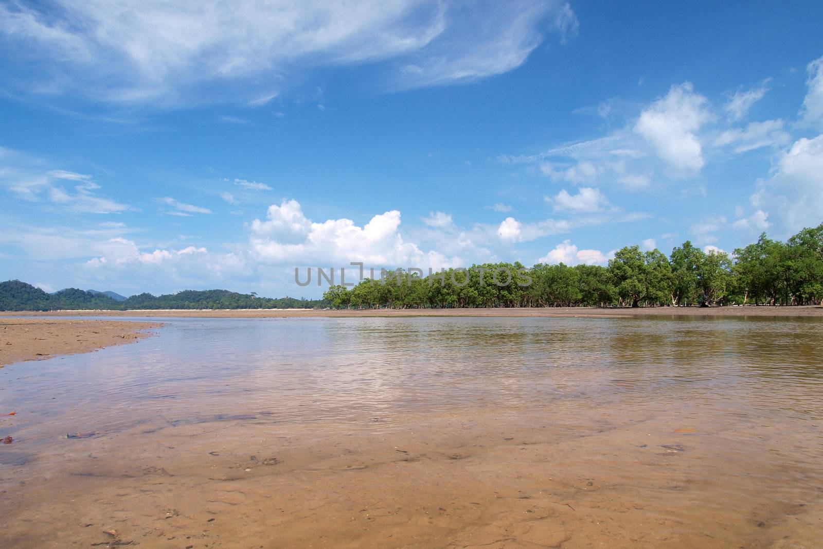 lanscape of tropical beach with mangrove tree in southern of Thailand      