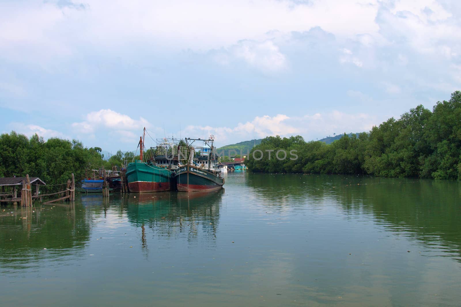 A mangrove forest and Fishing boat , In Thailand