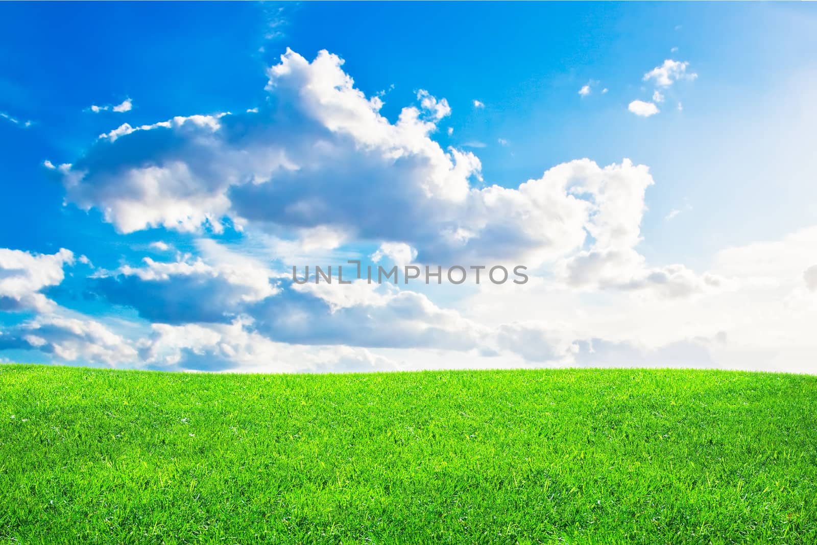 Green grass and blue cloudy sky in summer