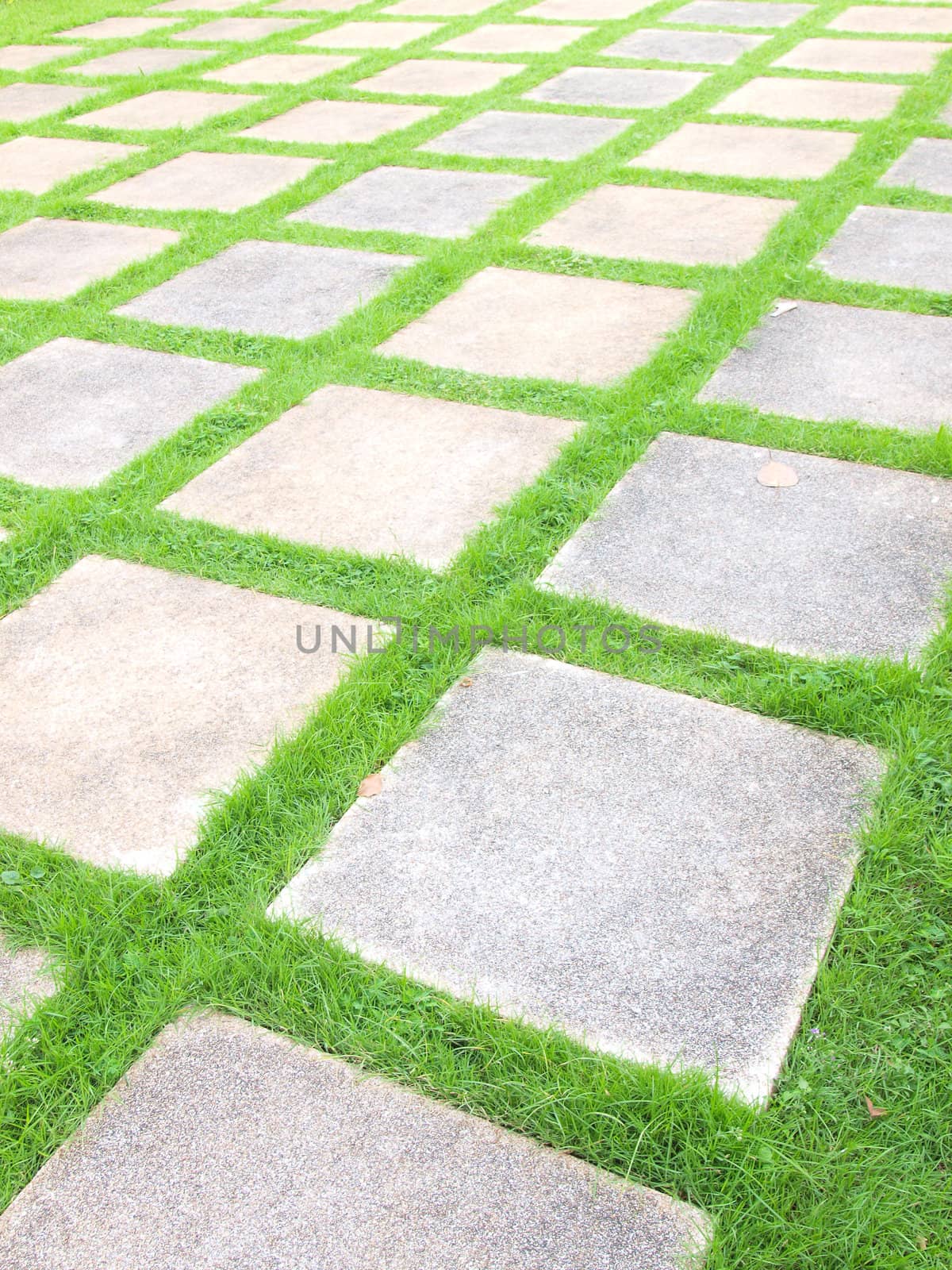 Beautiful grass tiles walk way in the garden  