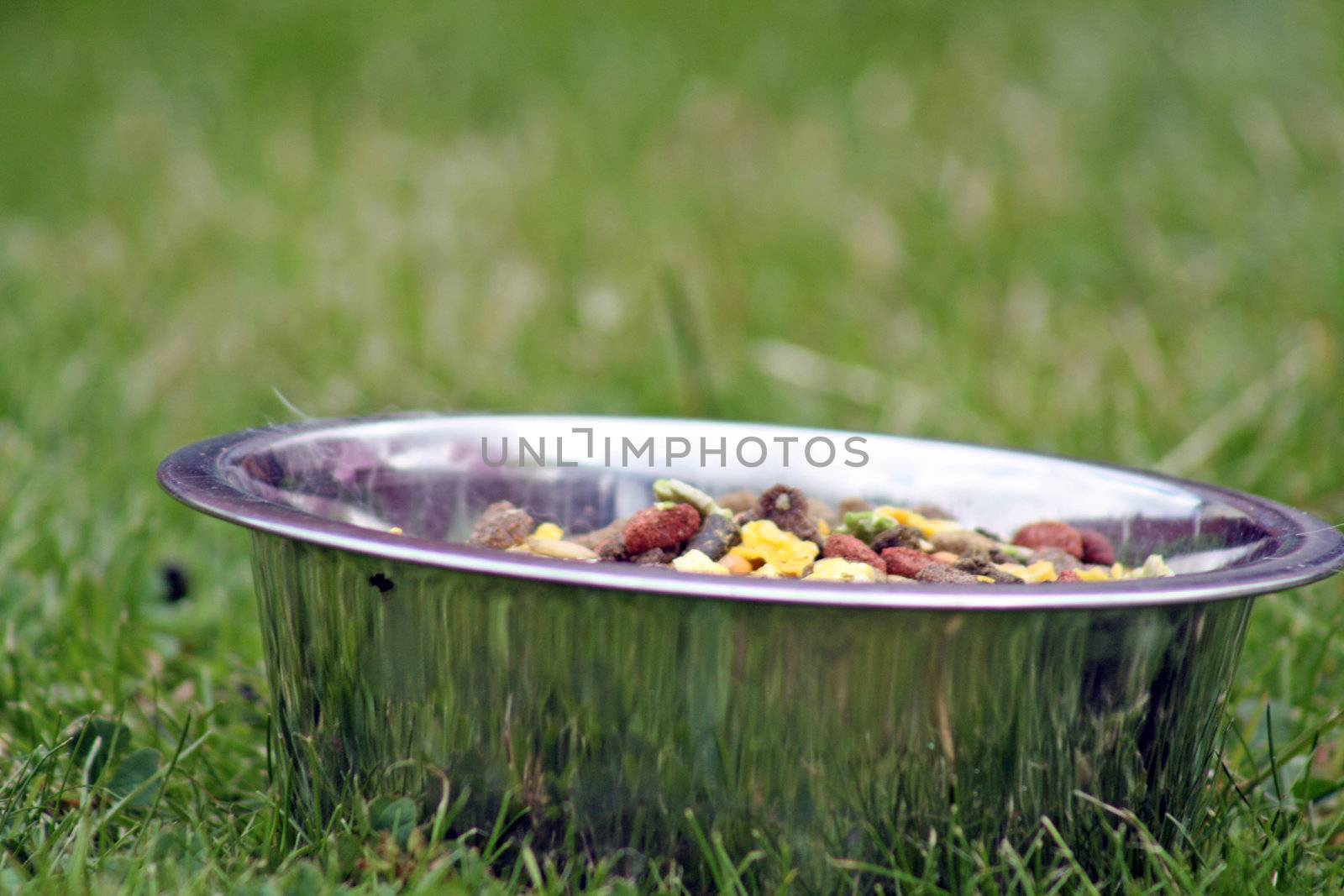 a bowl of rabbit food