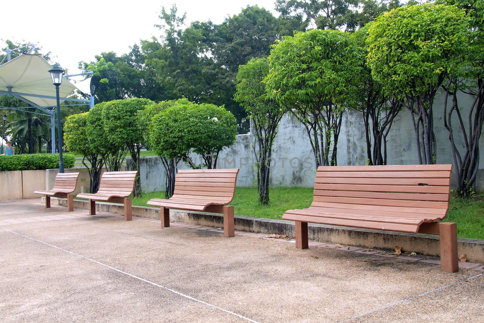 Wooden benches in the park by jakgree