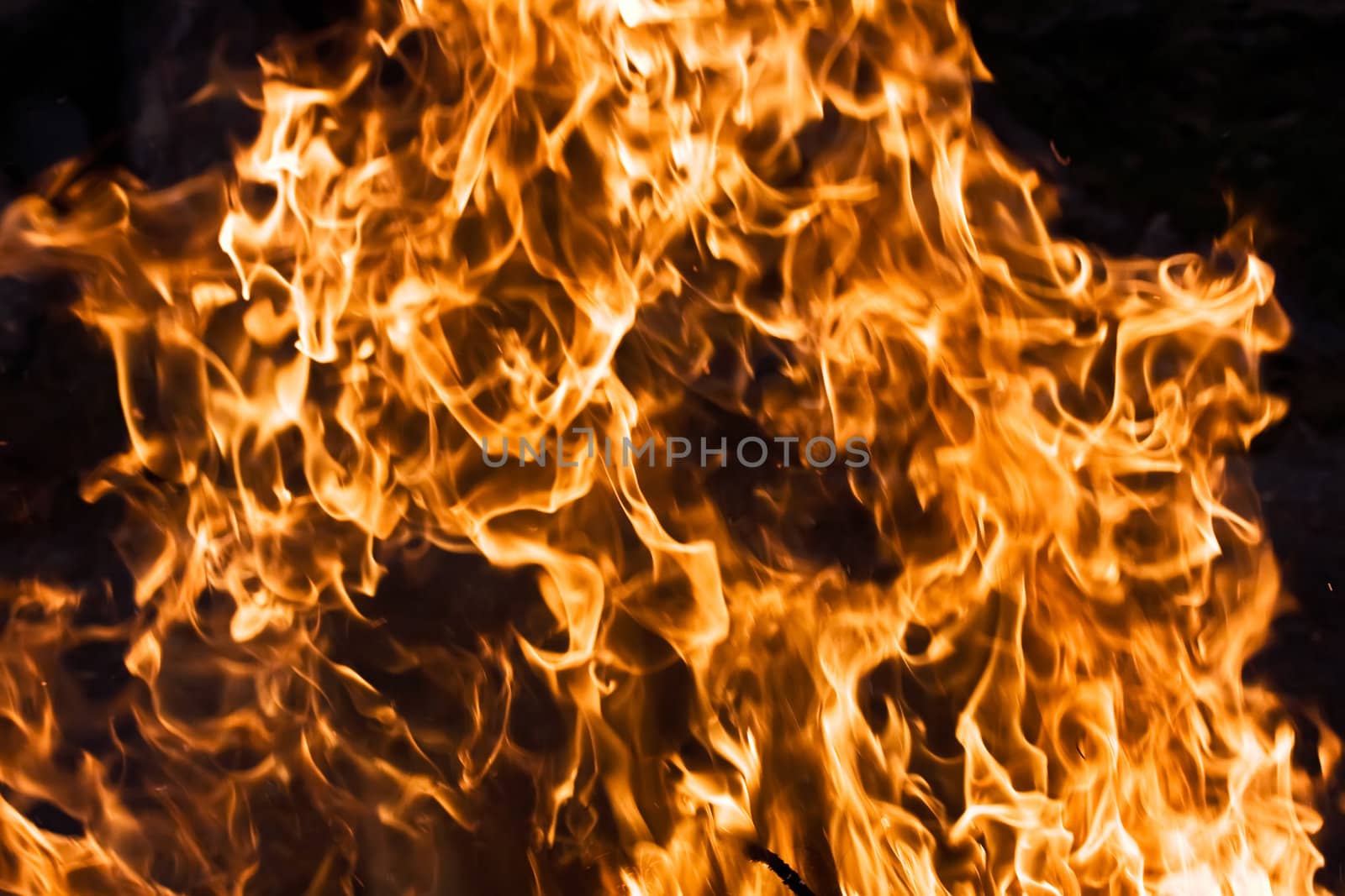 Orange flame burning on black background