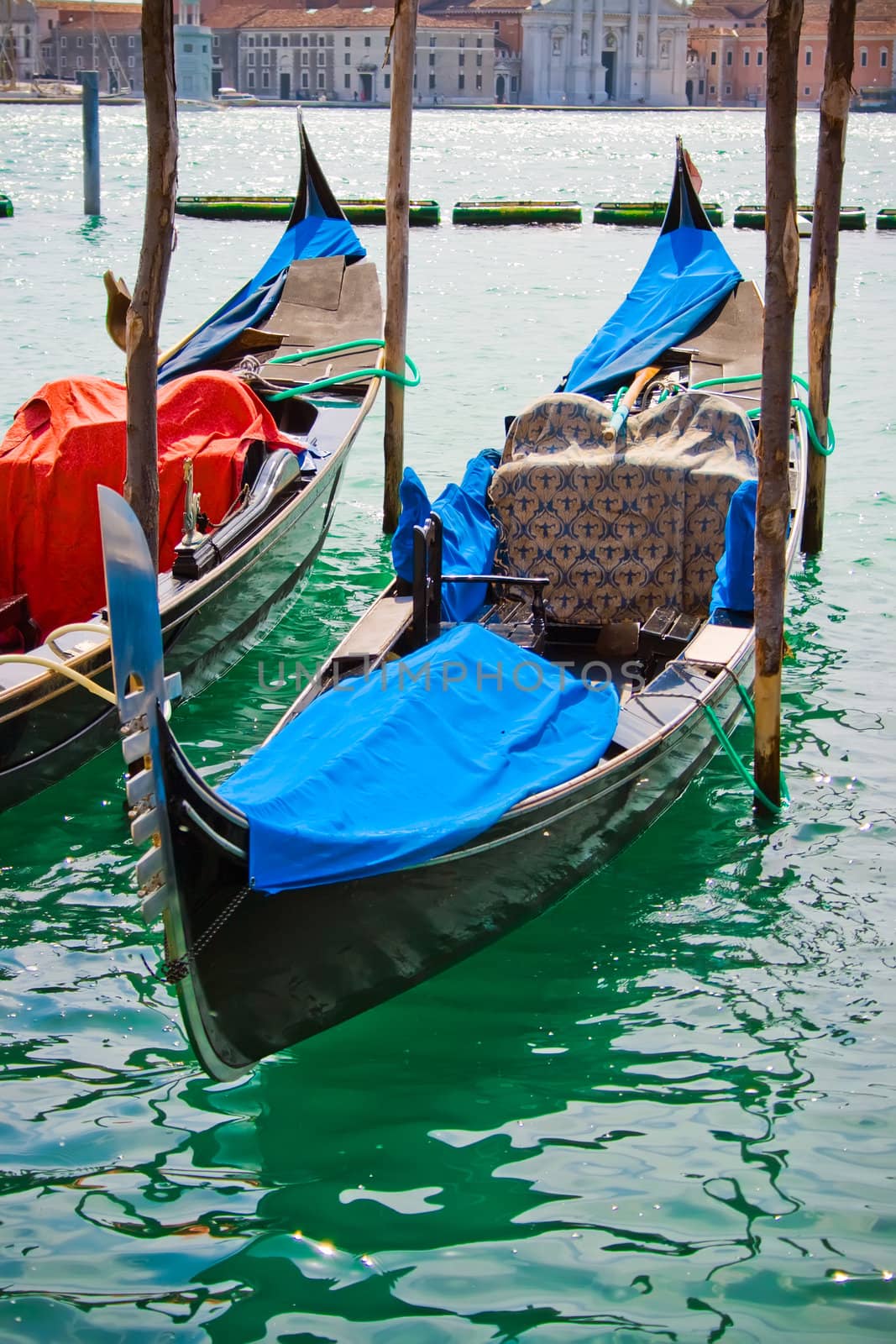 gondolas anchored near square San Marco in Venice