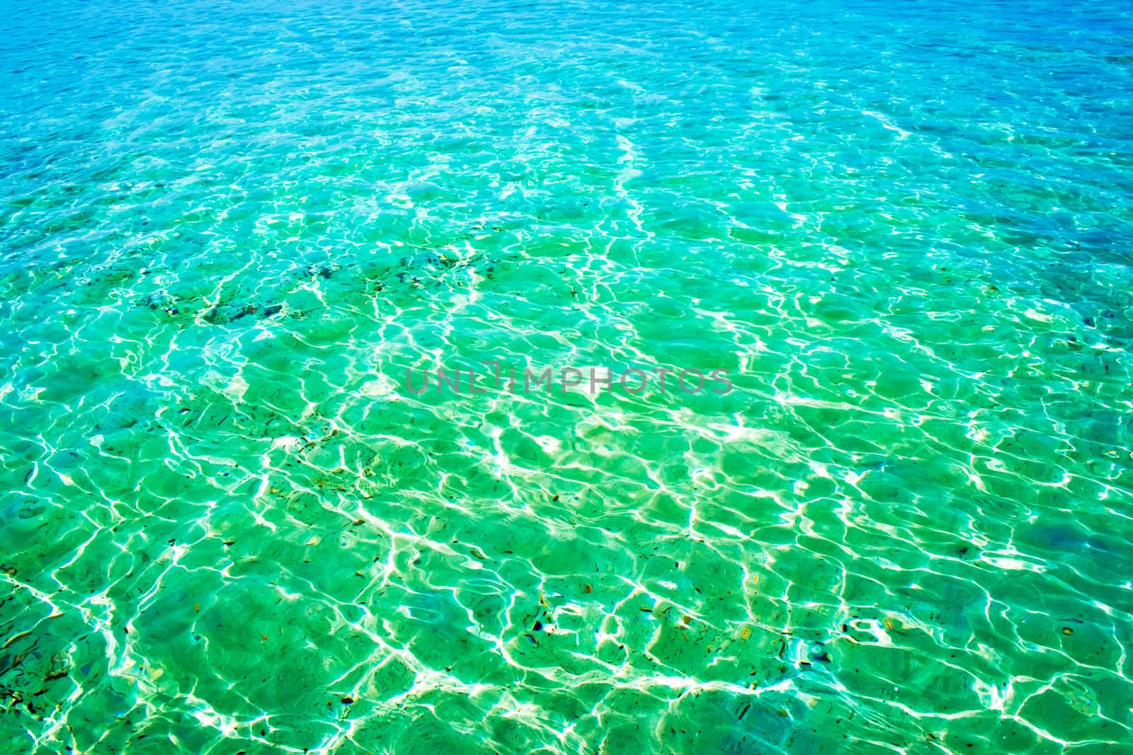 Transparent whater of the Thyrenian sea in Sardinia