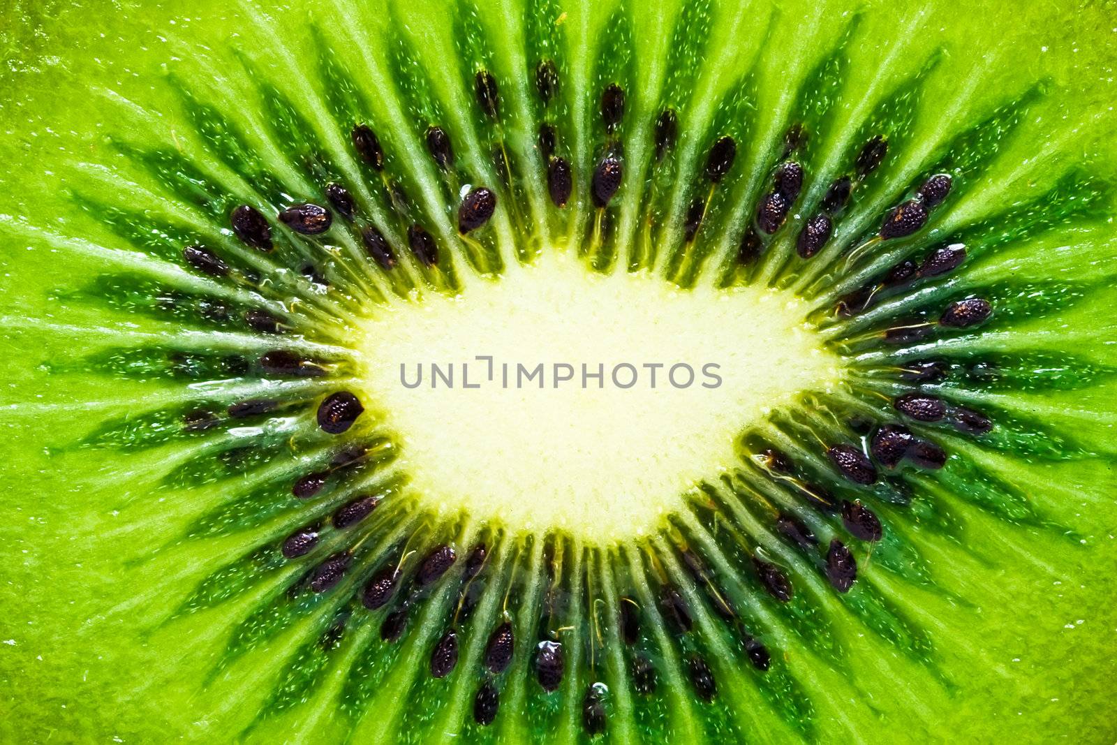 Macro photo of a fresh kiwi