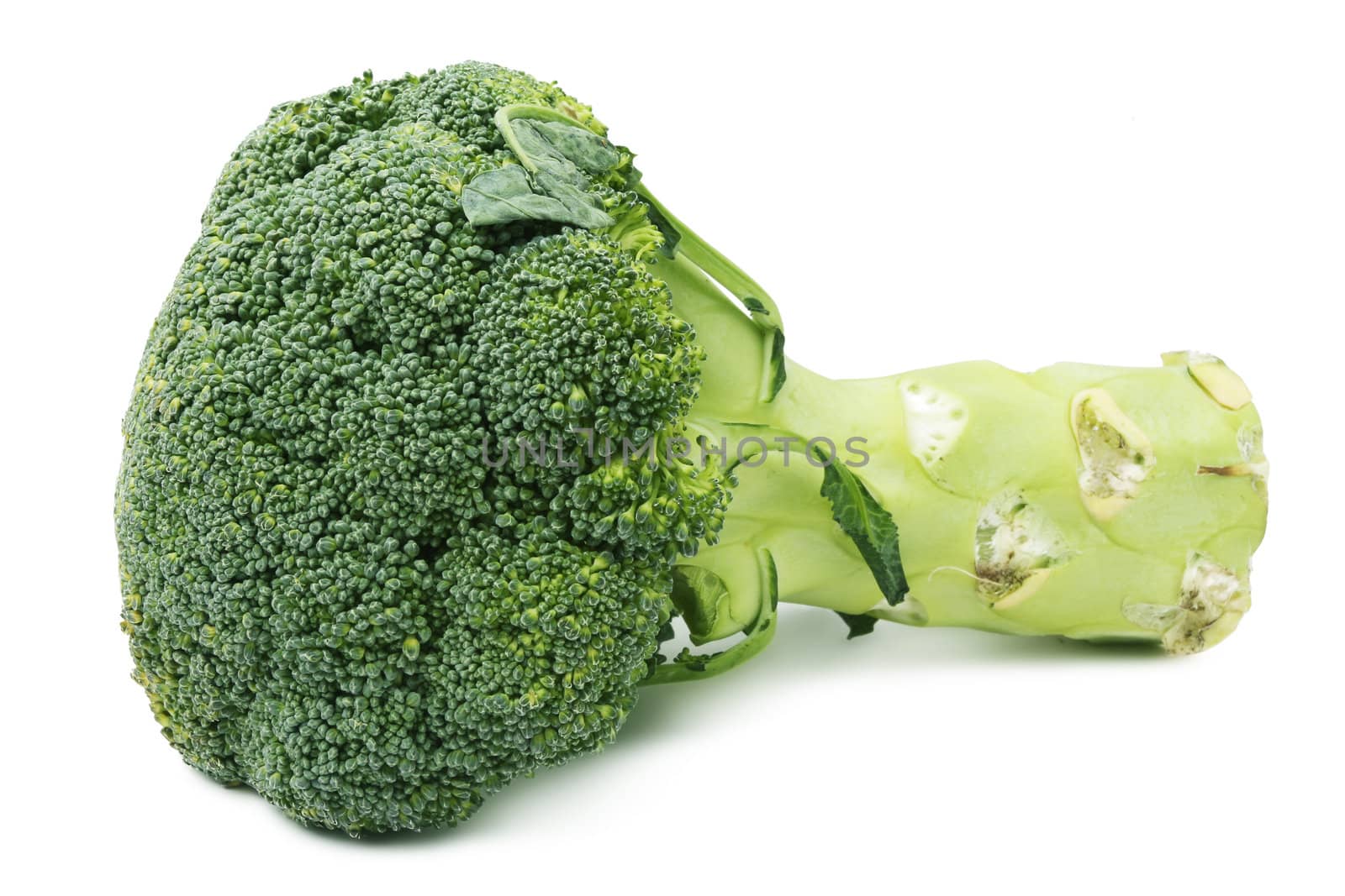 Fresh broccoli isolated on white background