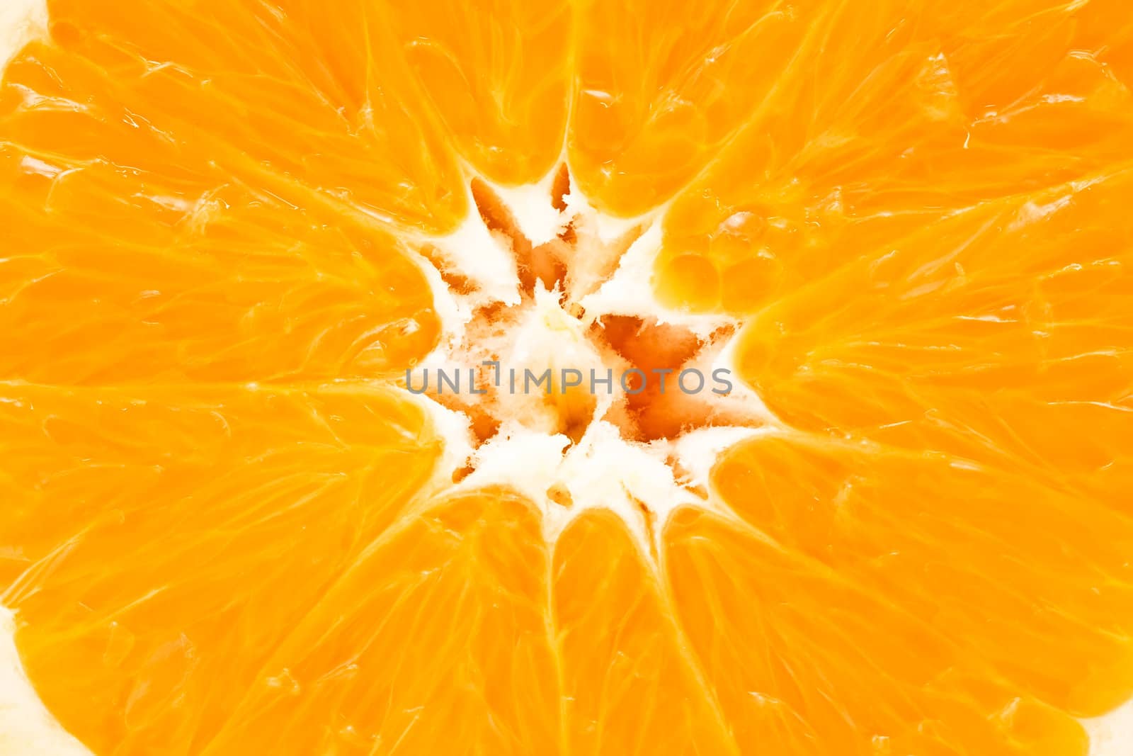 Orange close up